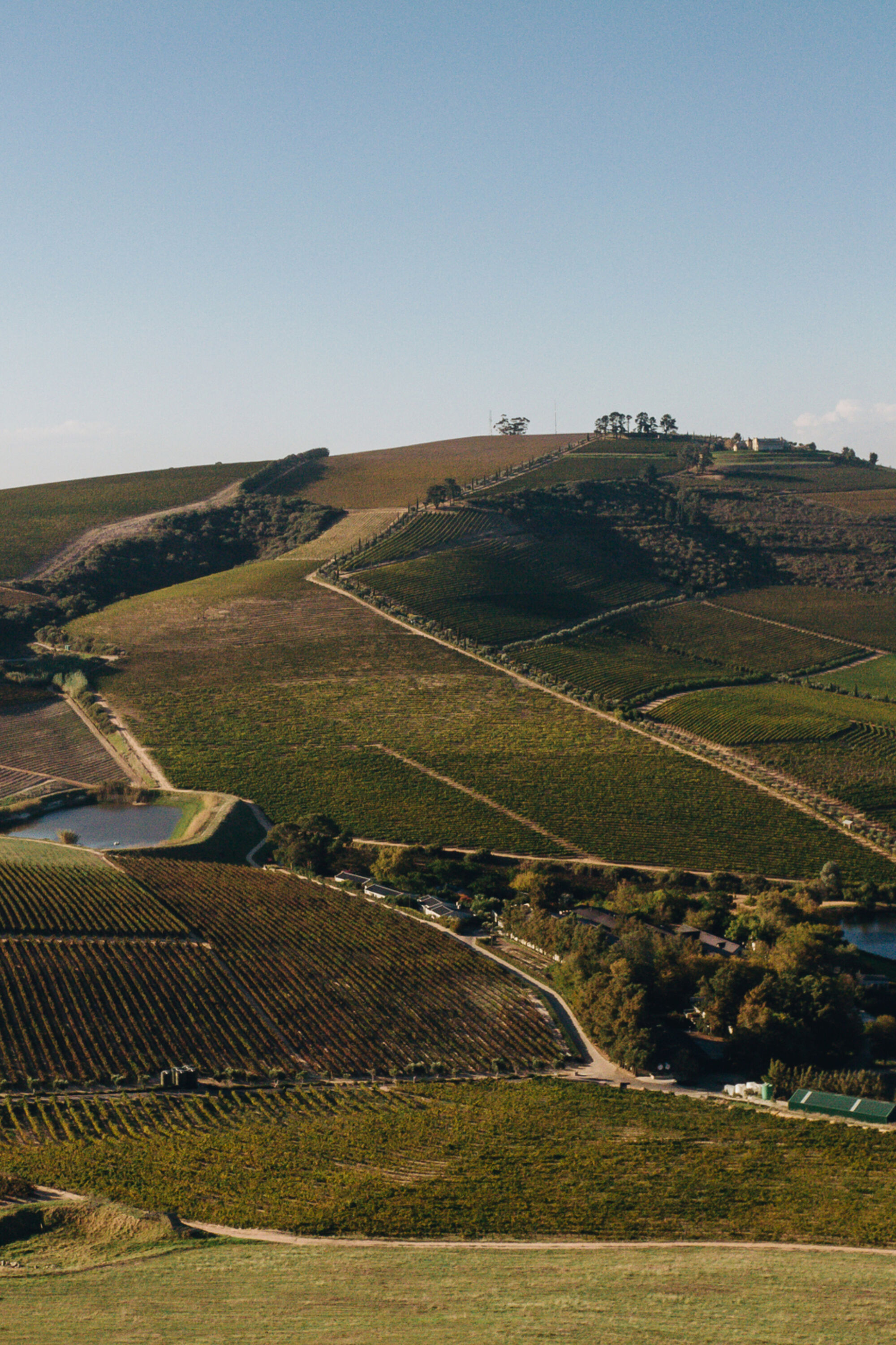 Image Title Image Title