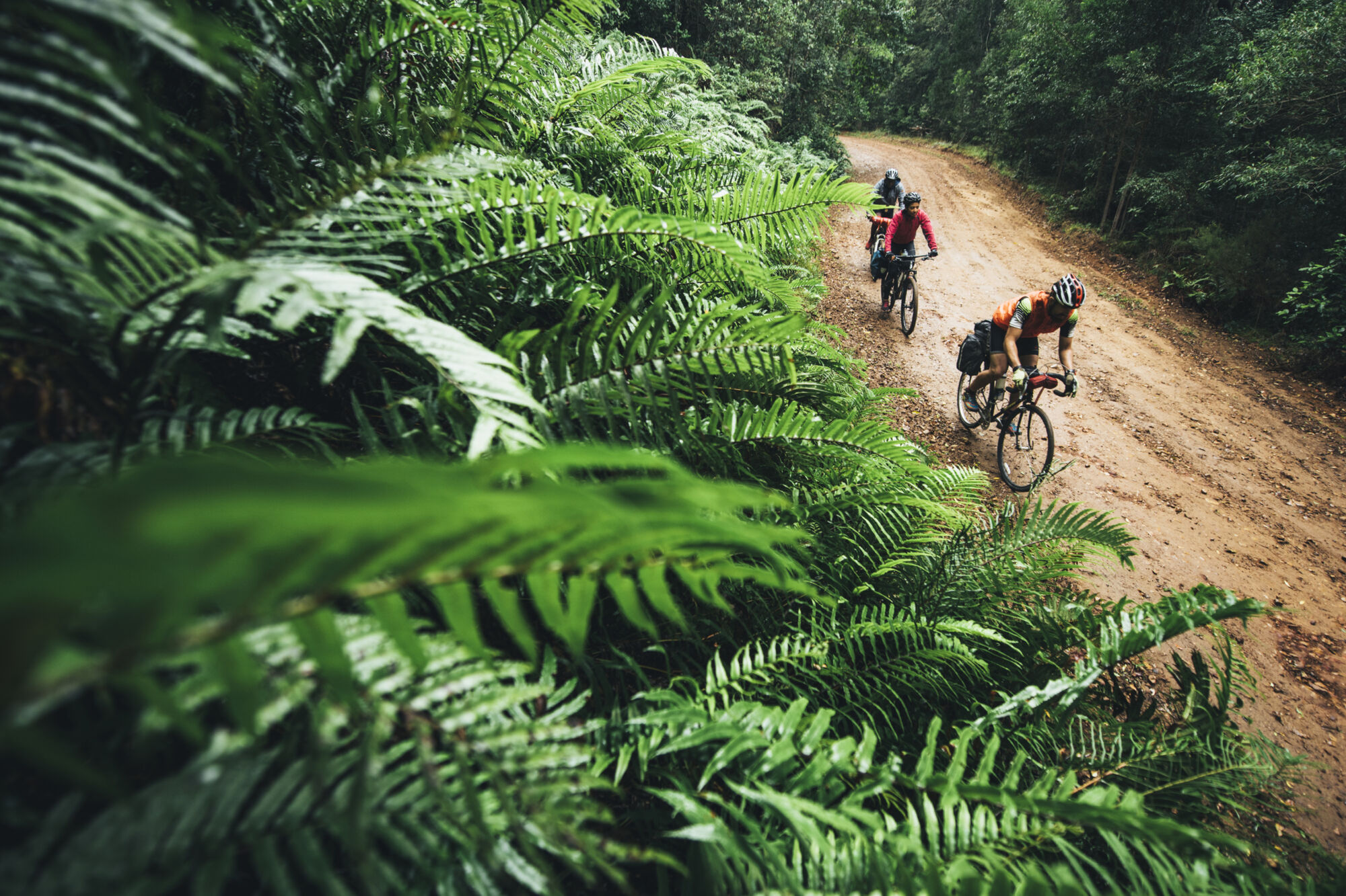 KT 170312 FCB Cape Cylce Network 7662 3004 KT 170312 FCB Cape Cylce Network 7662 3004