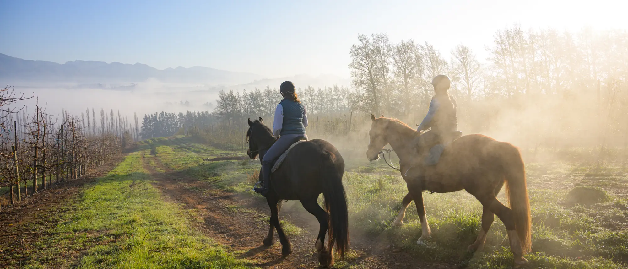 Image Title Image Title