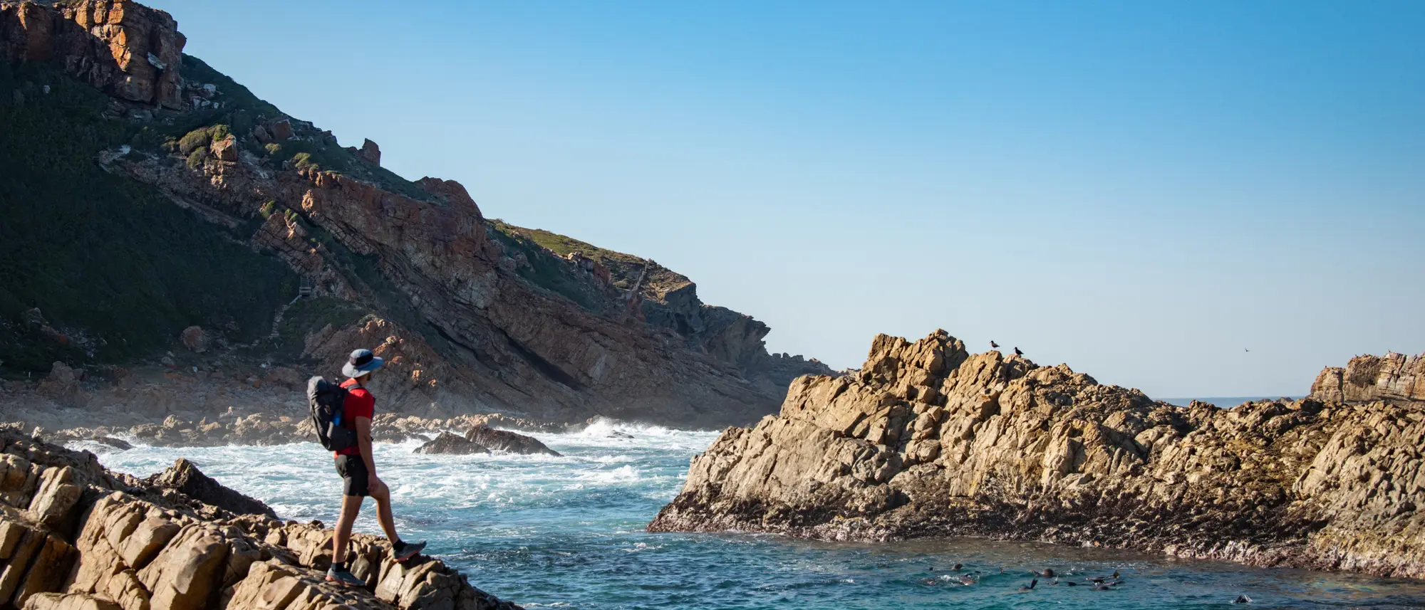 Image Title Image Title