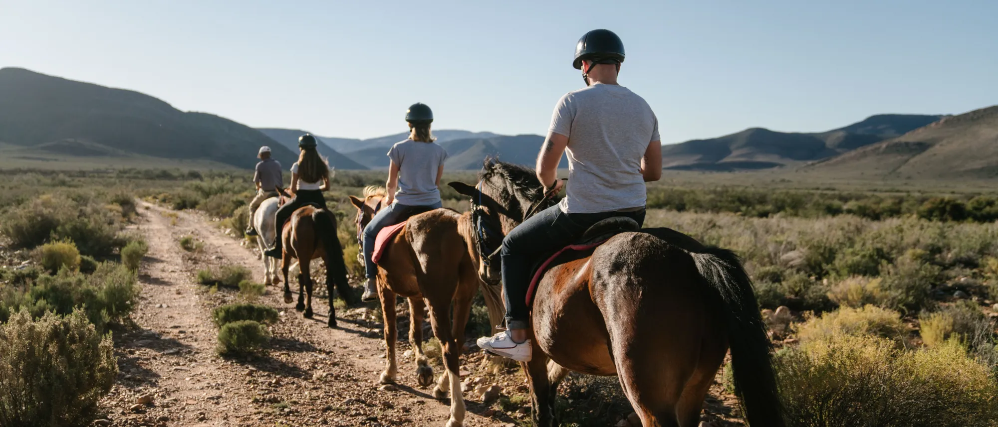 Image Title Image Title