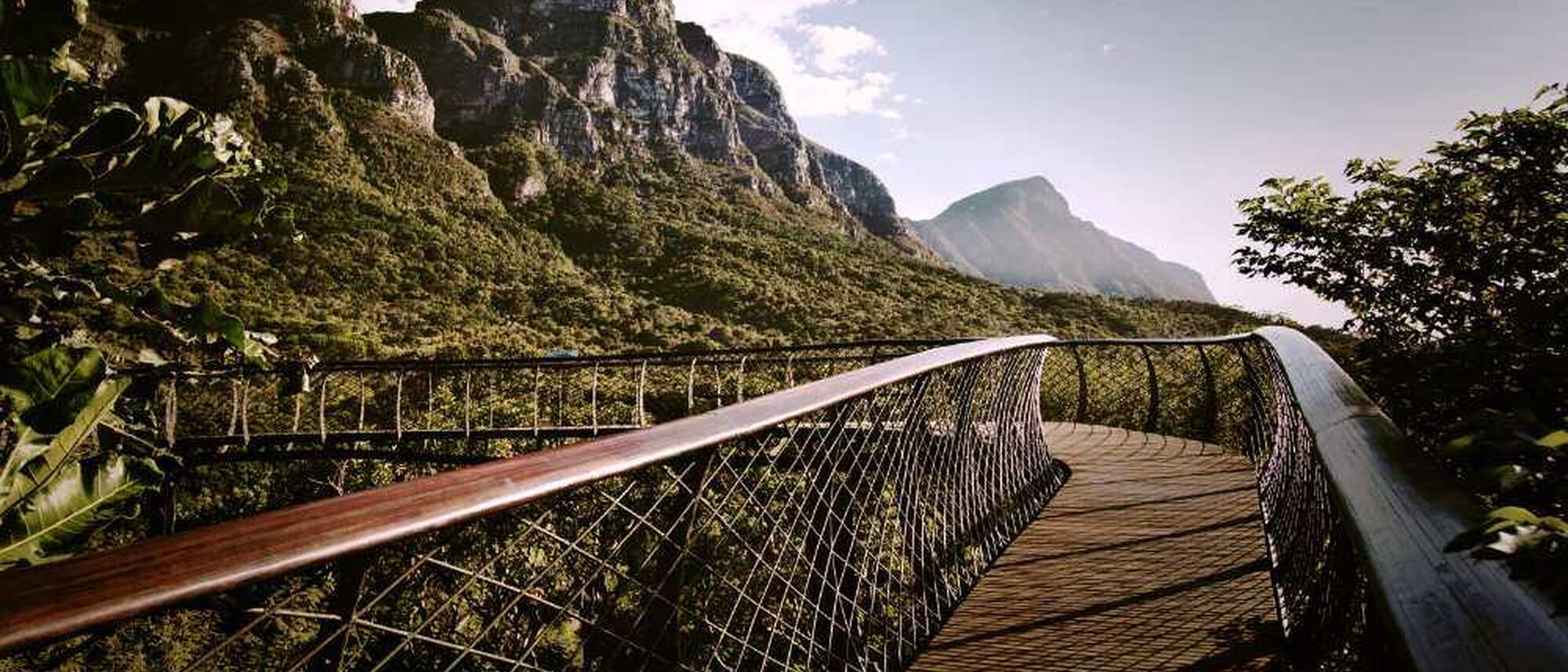 Image Title Image Title