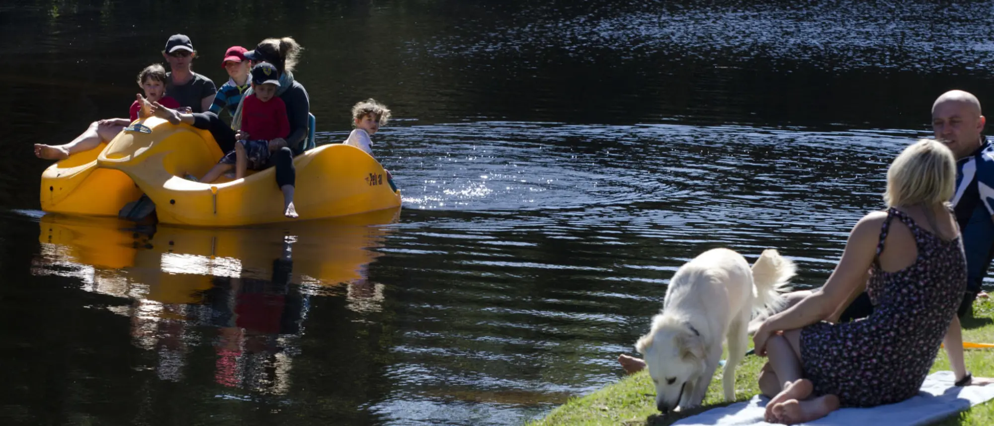 Image Title Image Title