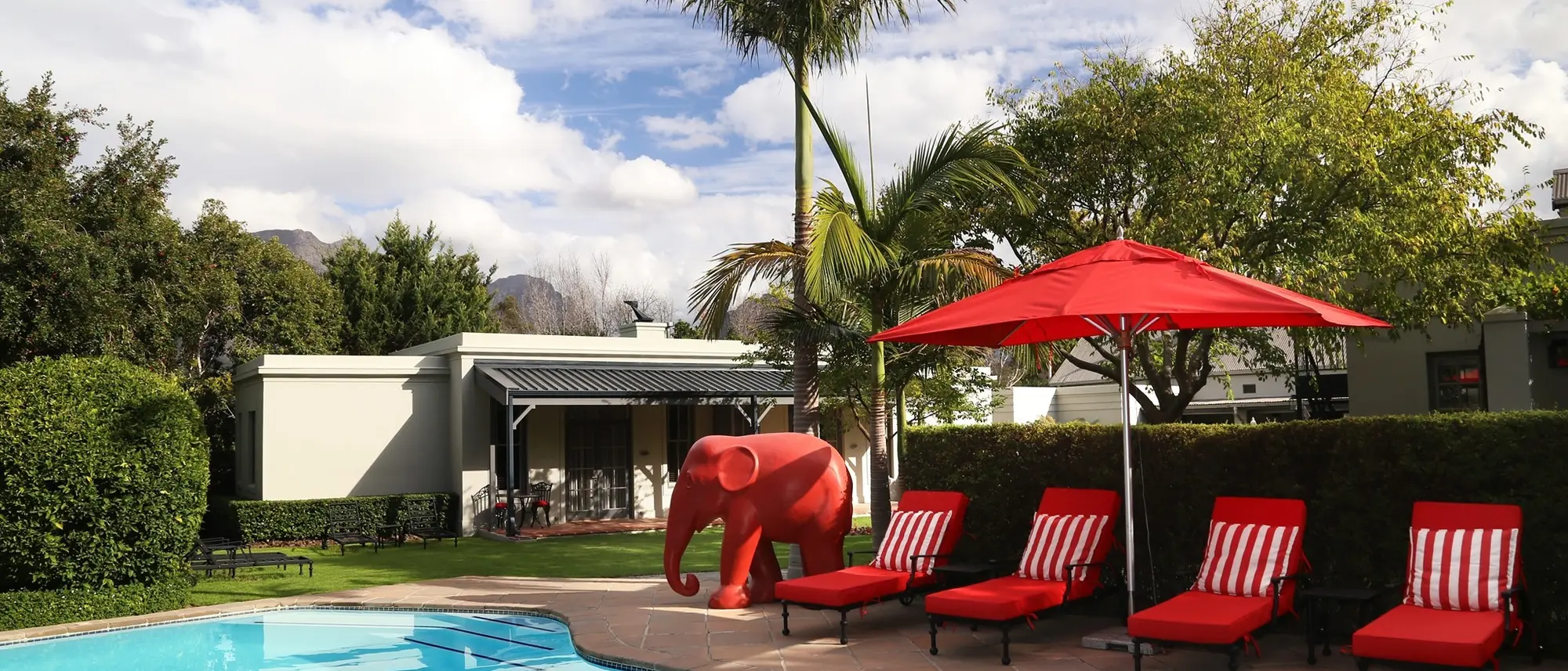 Image Title Image Title