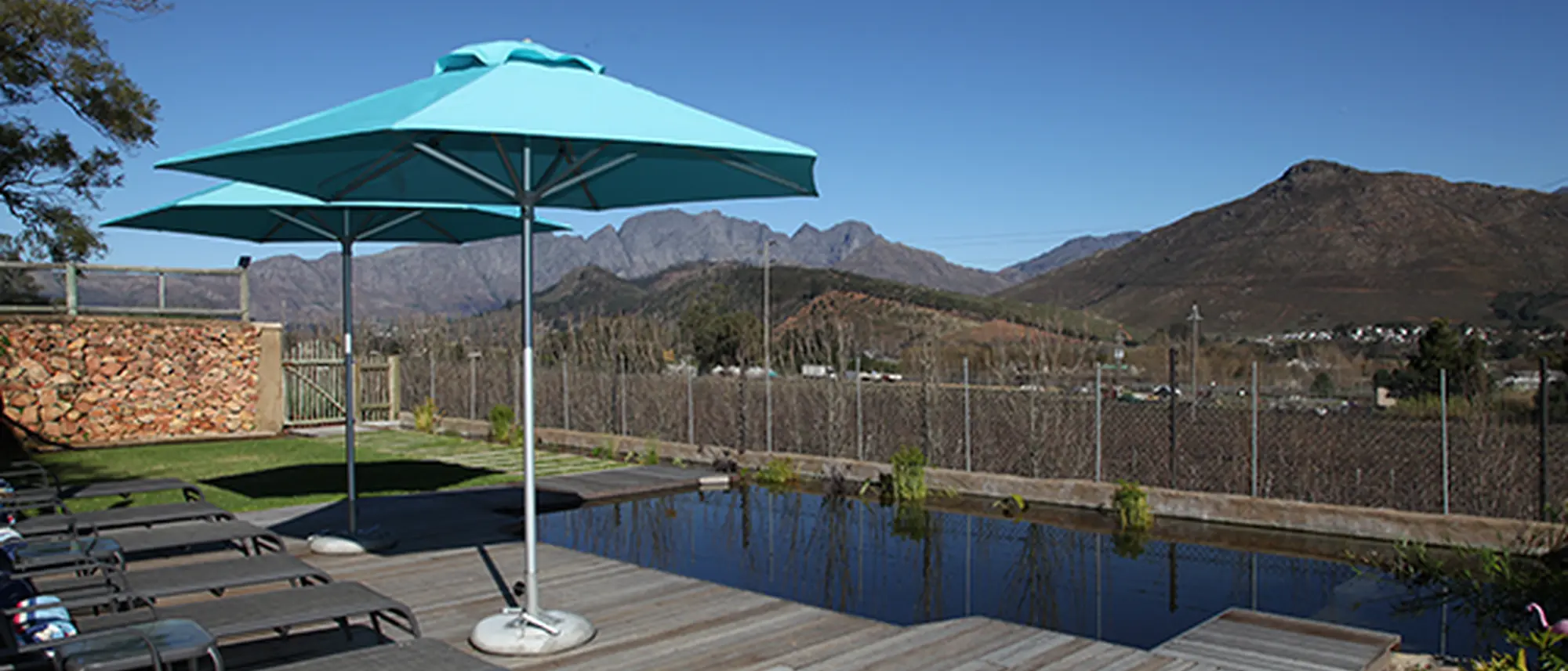 Image Title Image Title