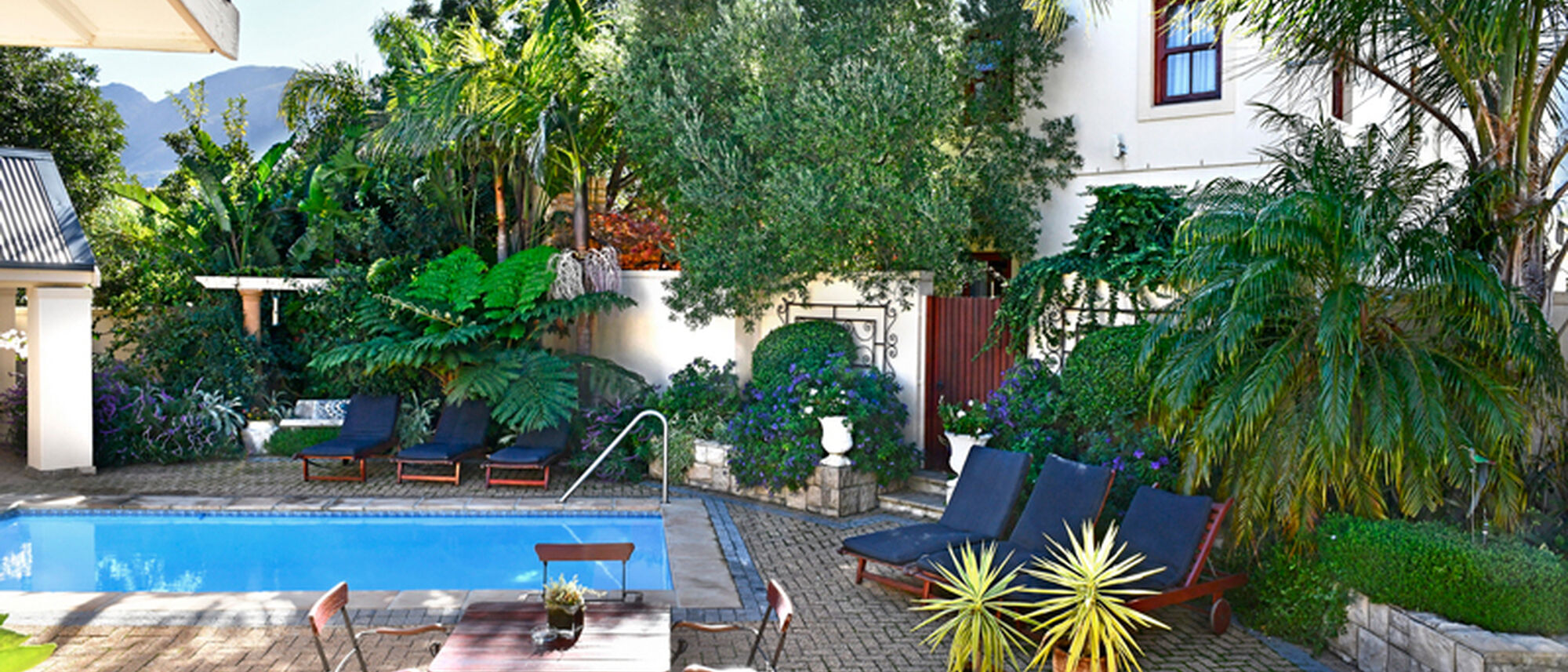 Image Title Image Title