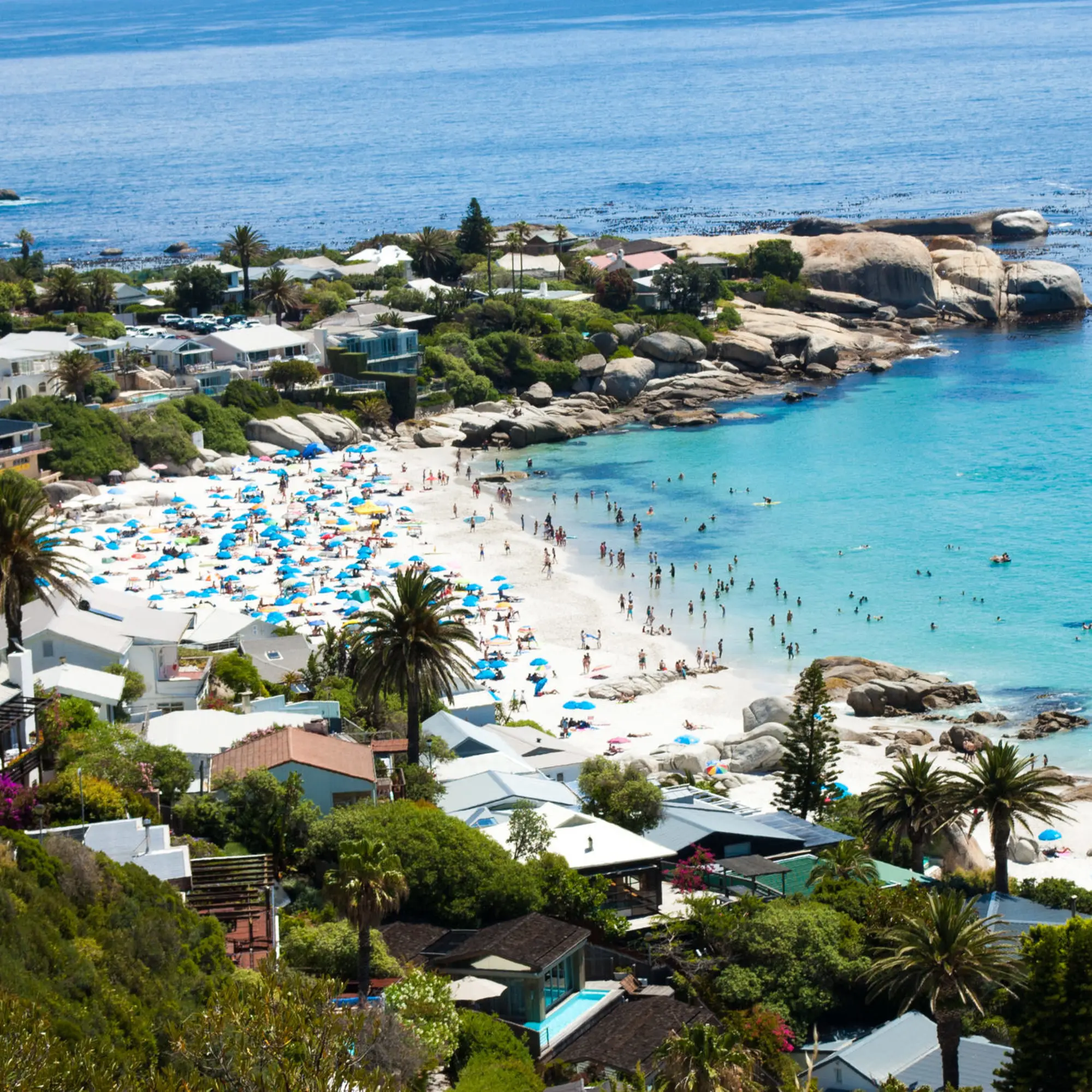 Shutterstock 1871431699 Shutterstock 1871431699