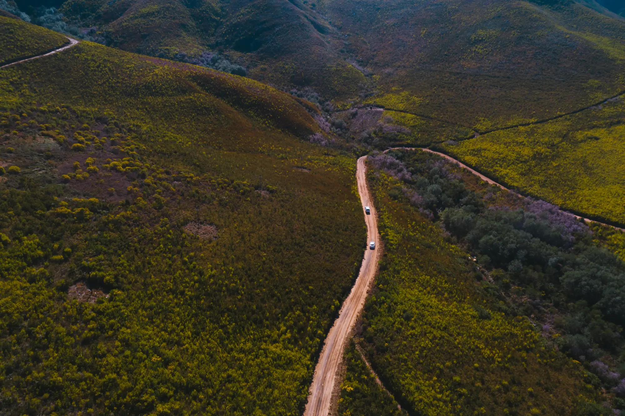 Image Title Image Title