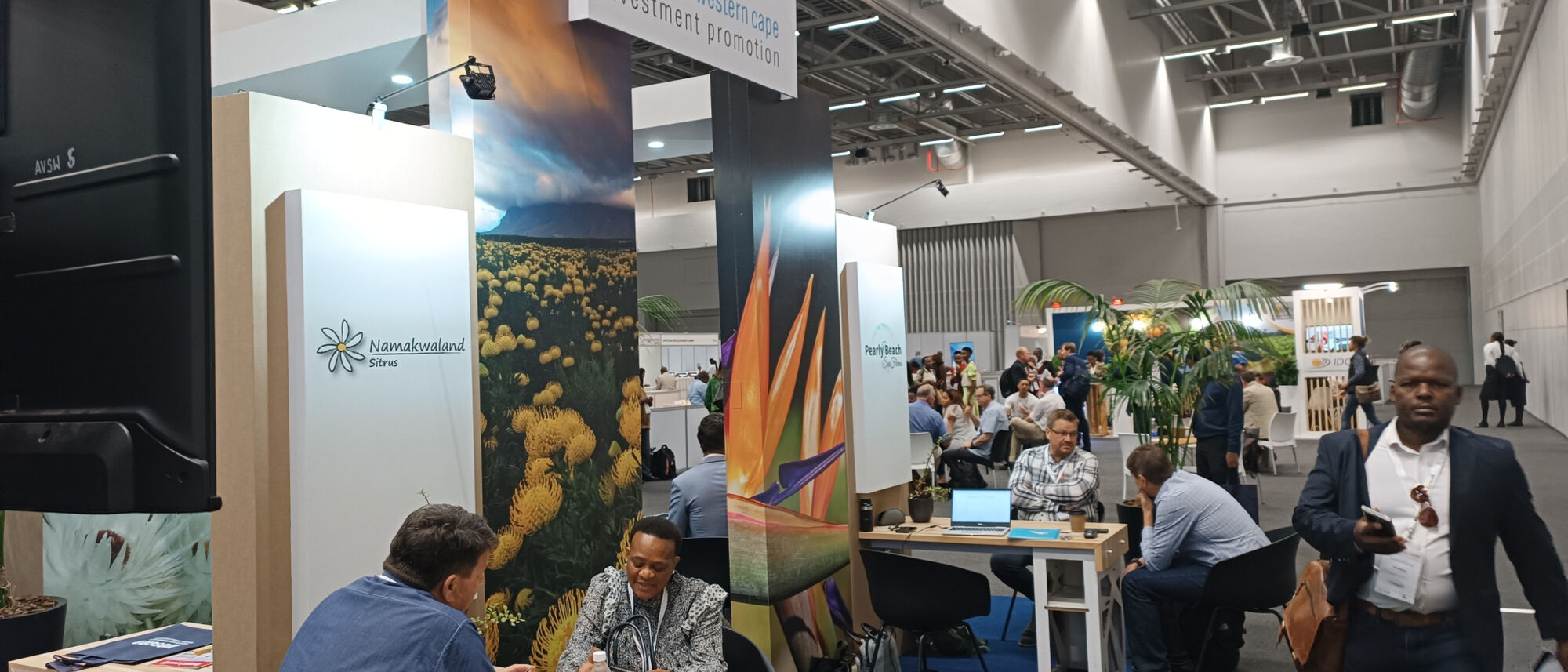 Image Title Image Title