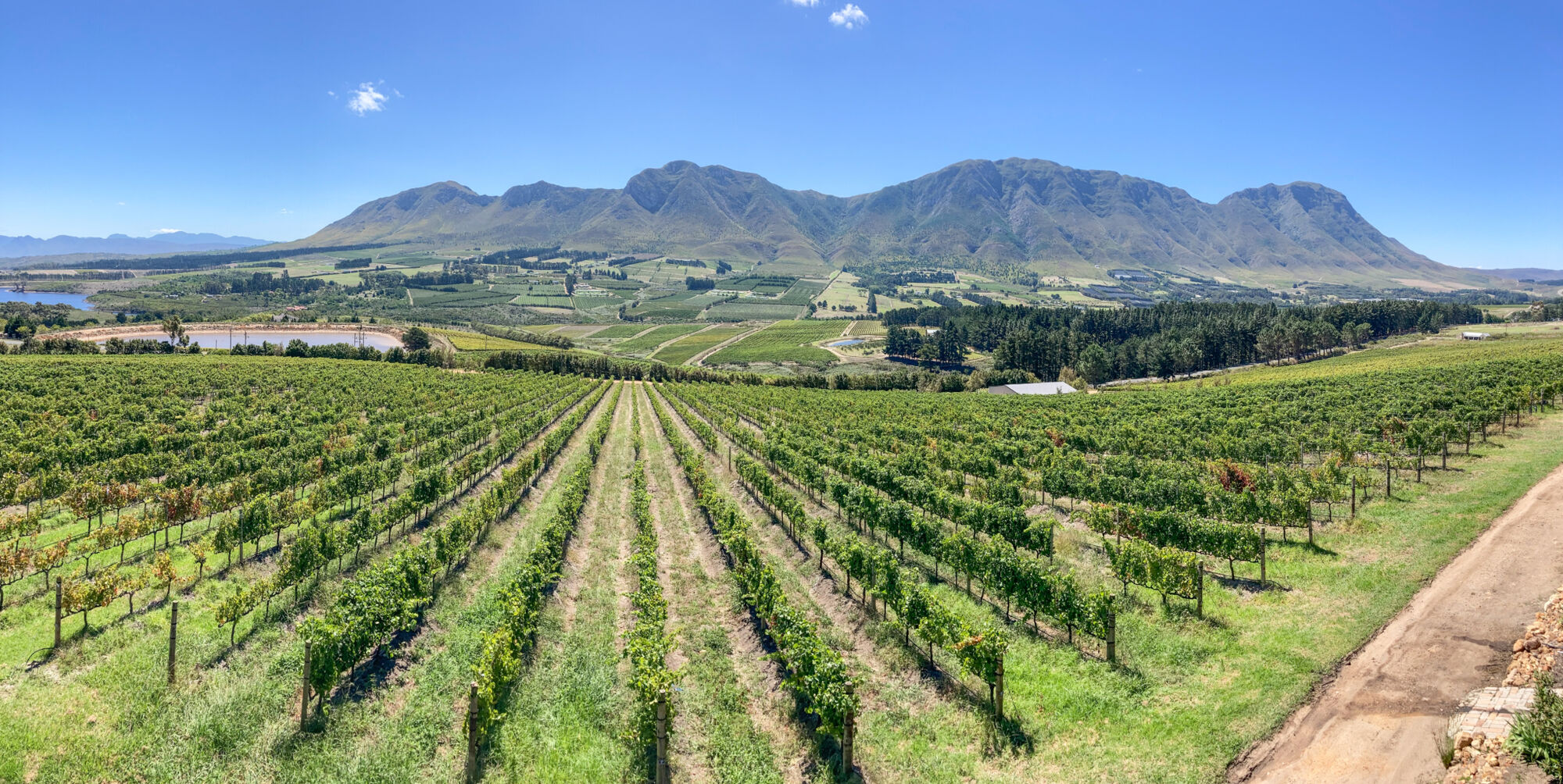 Newton Johnson1 Newton Johnson1