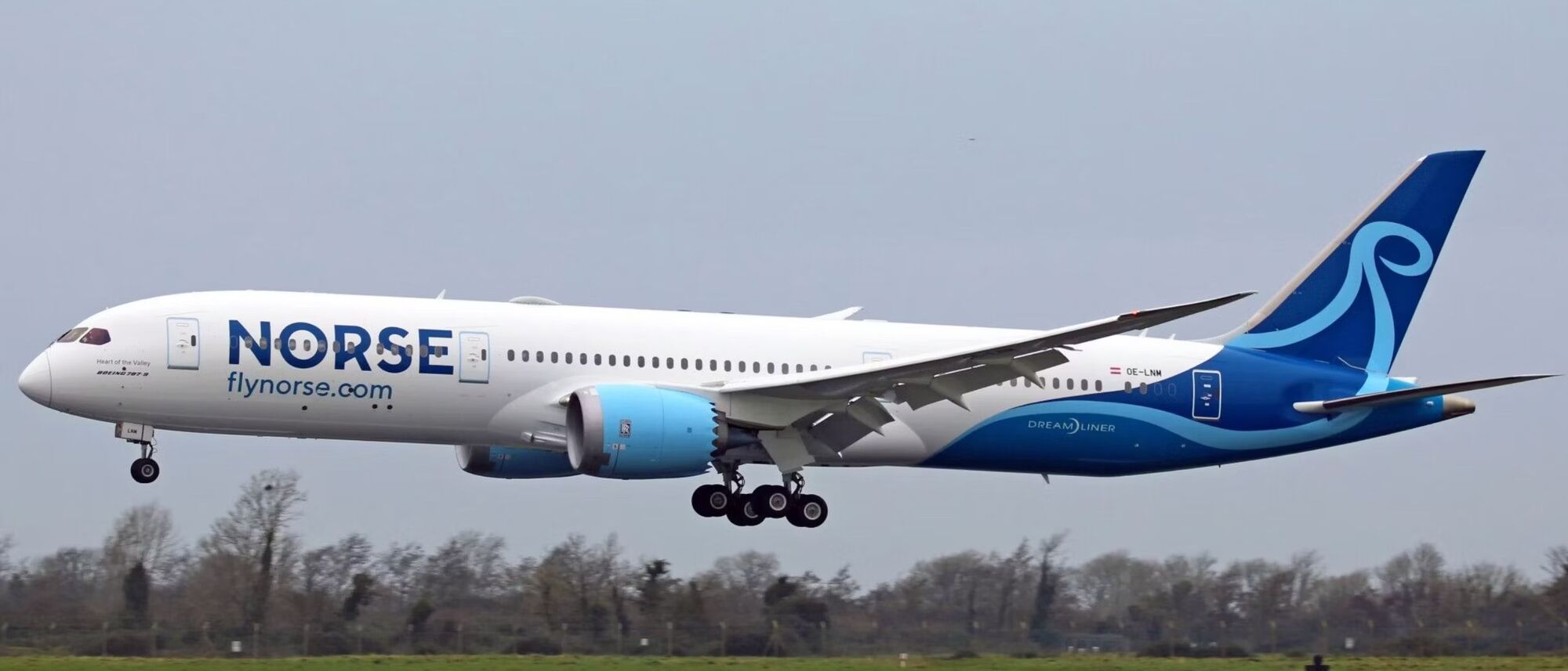 Image Title Image Title