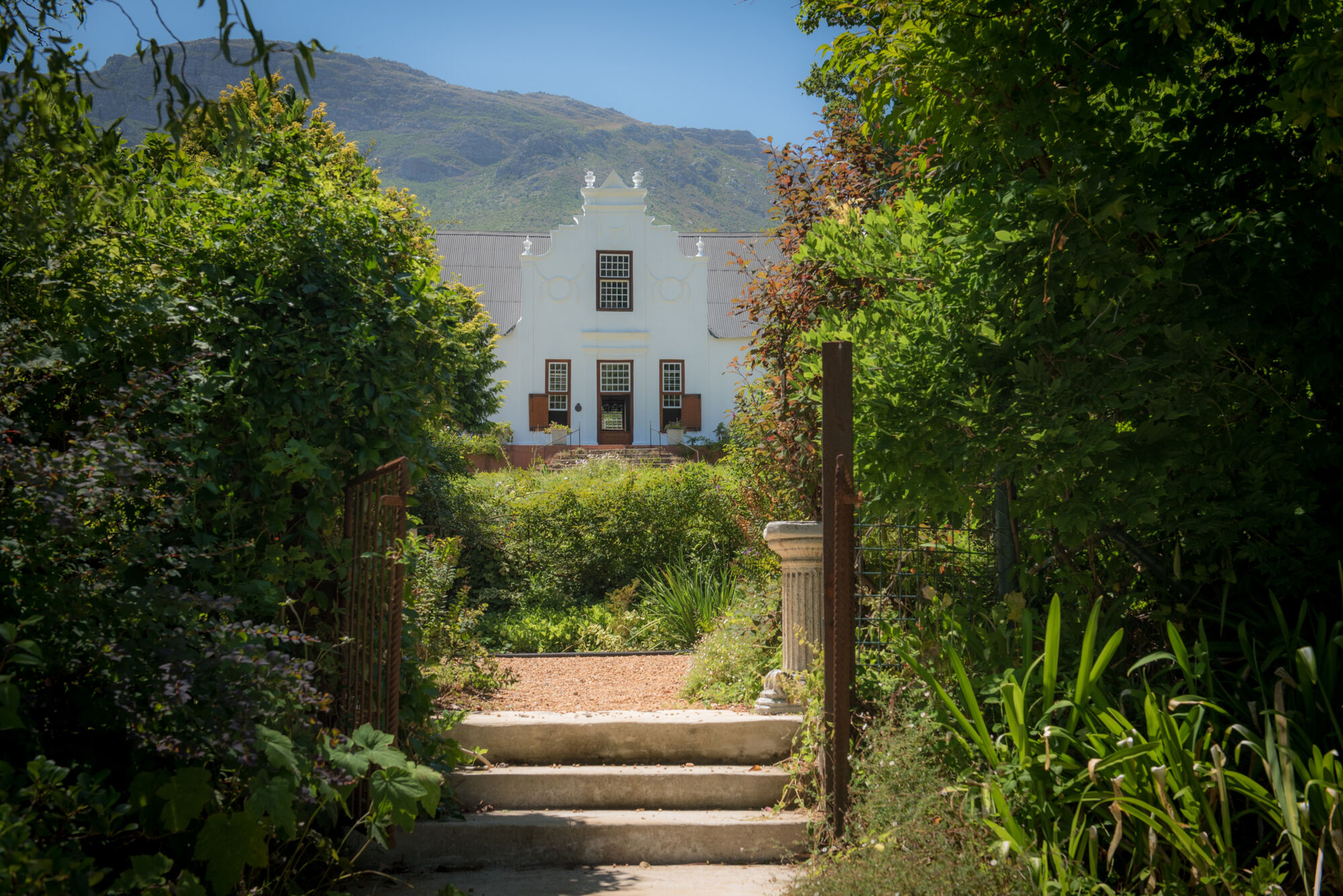 Old Nectar 5 Old Nectar 5