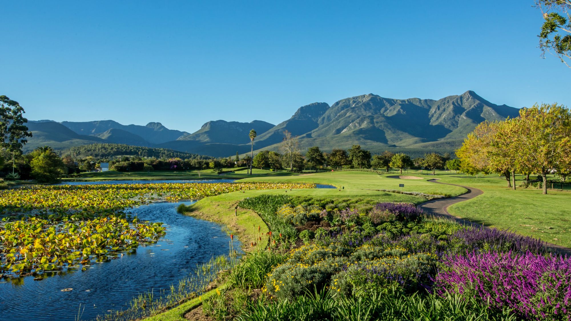 Image Title Image Title