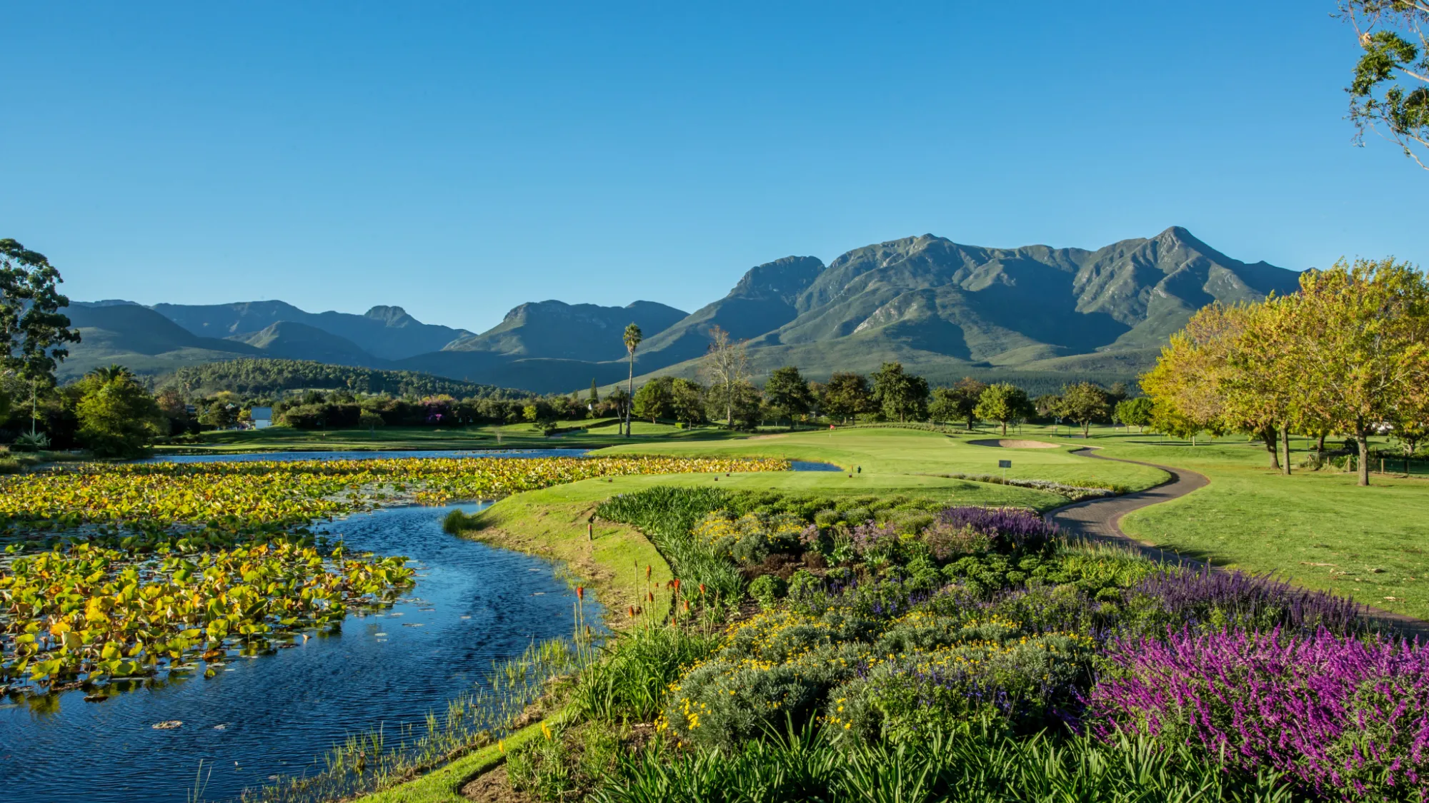 Image Title Image Title