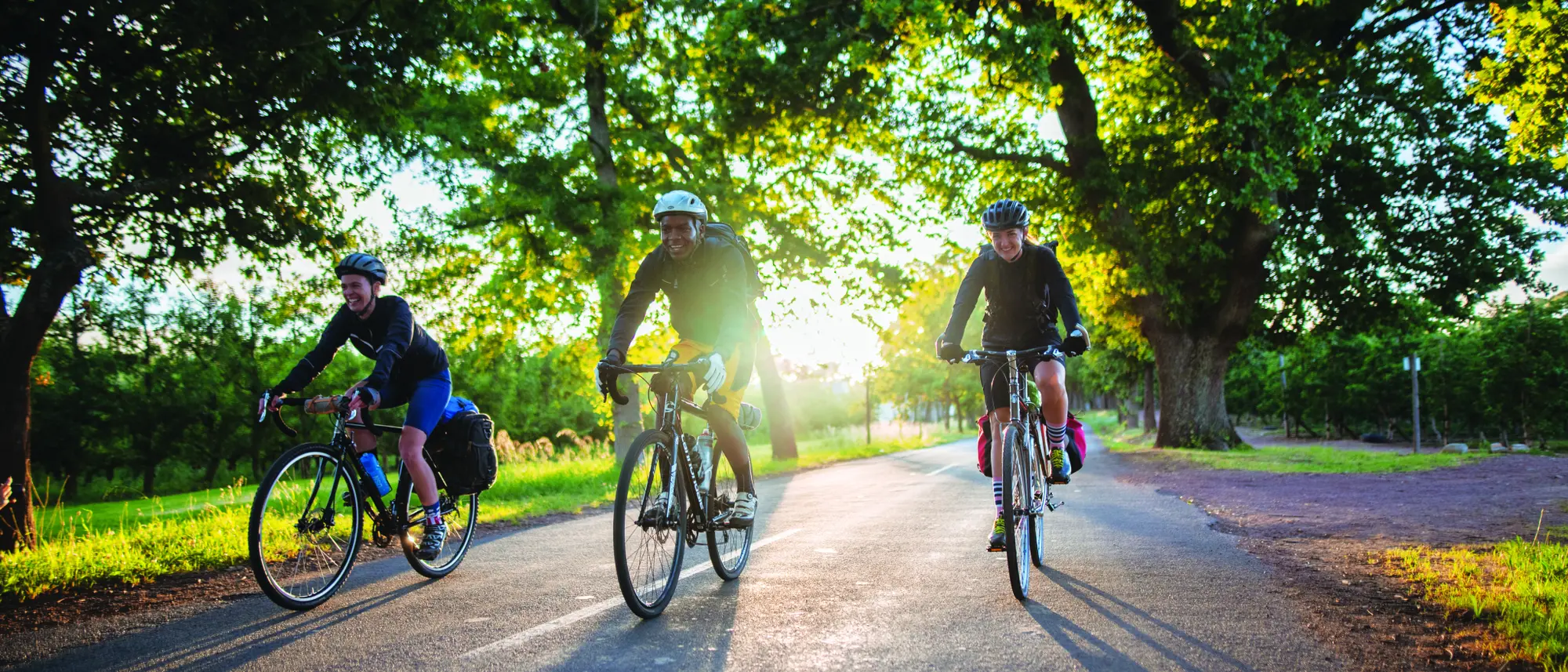 Image Title Image Title