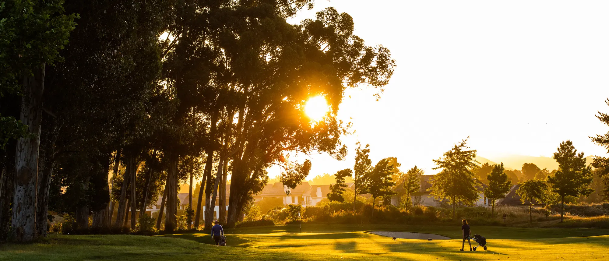 Image Title Image Title