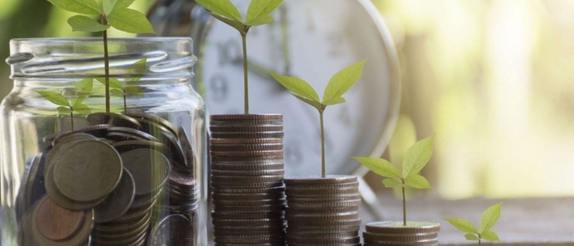 Image Title Image Title