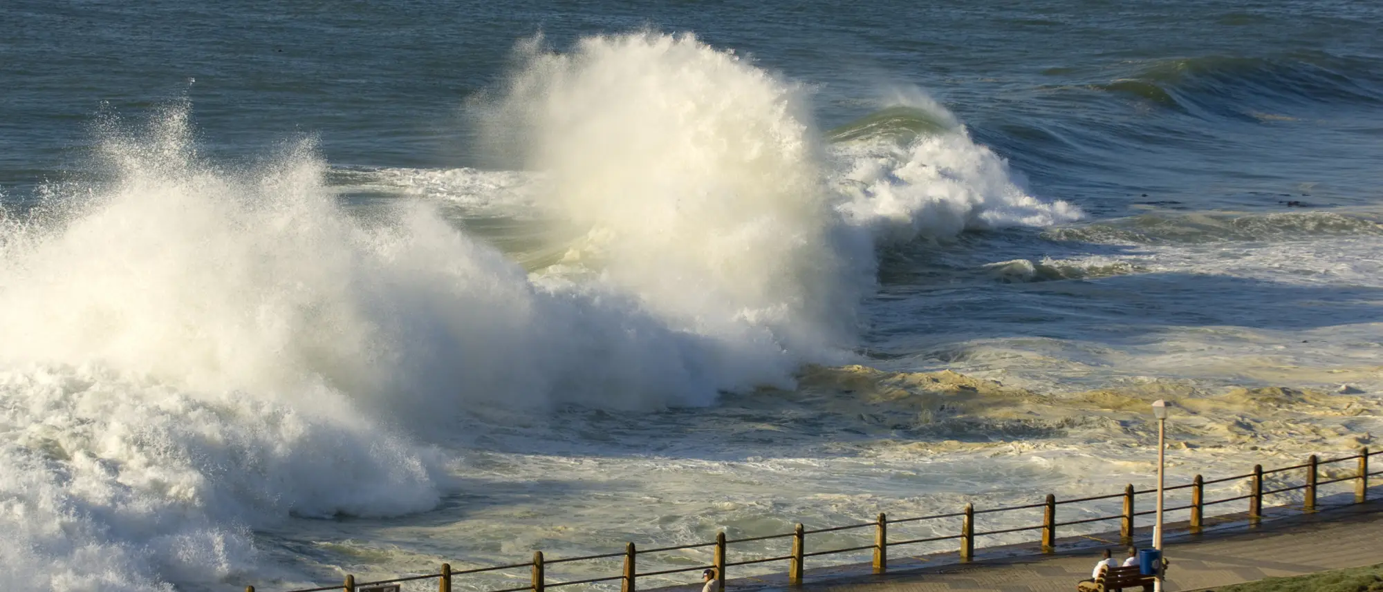 Image Title Image Title