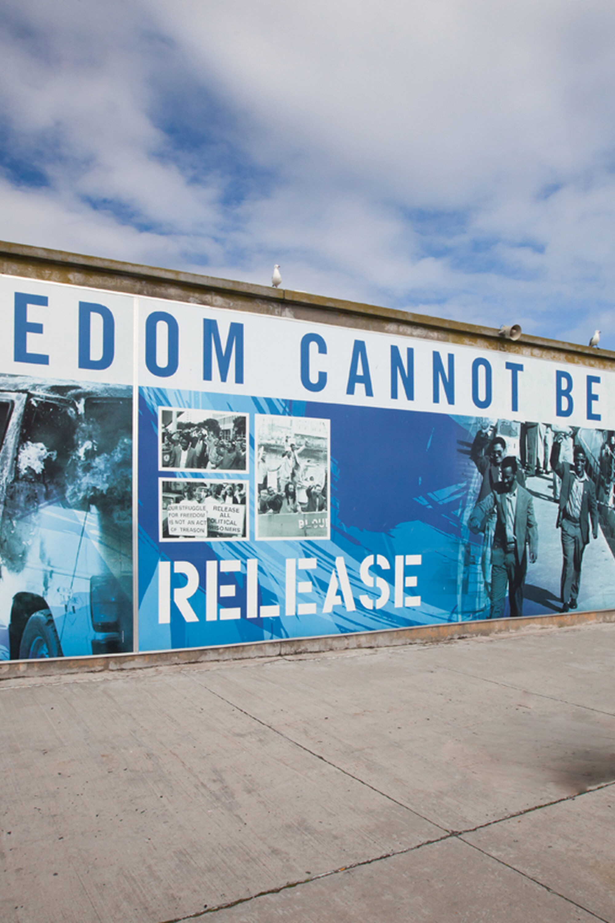 Image Title Image Title