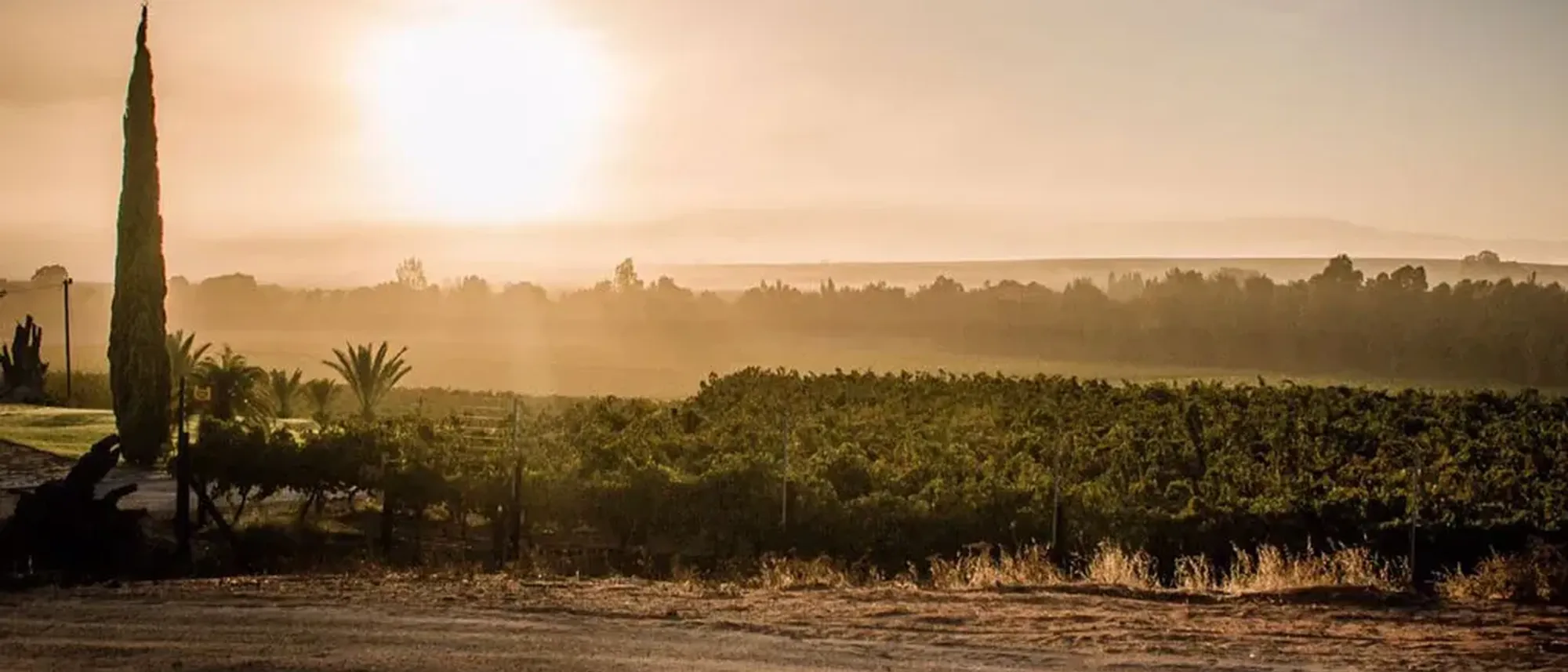 Image Title Image Title