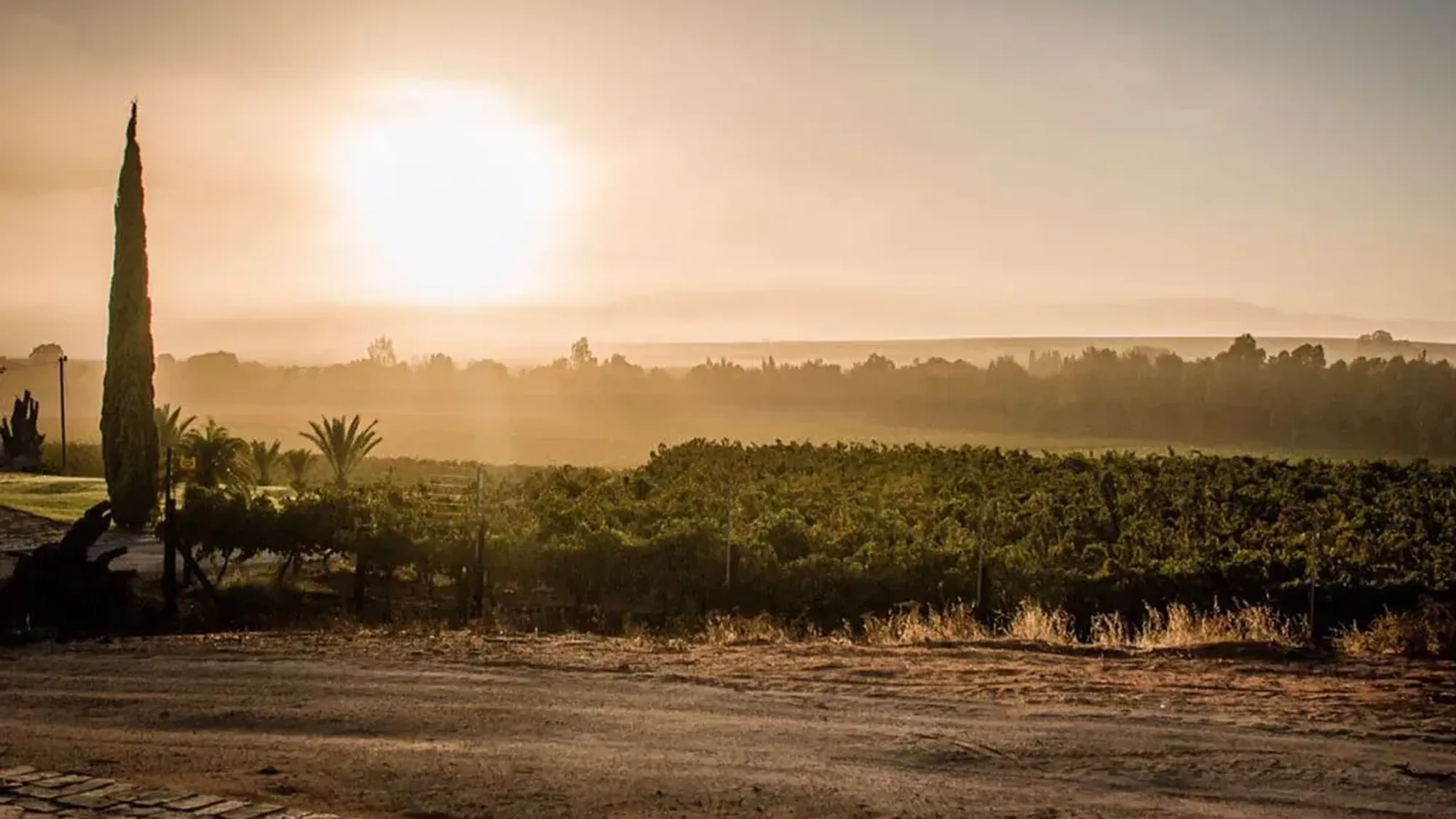 Image Title Image Title