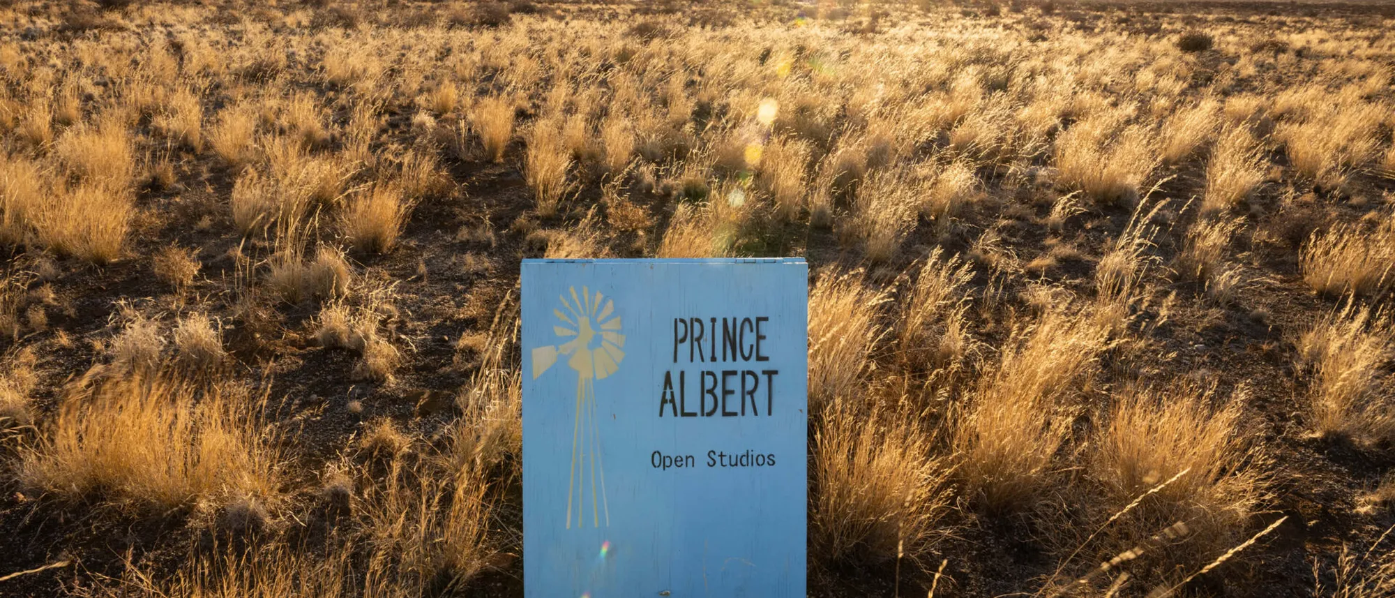 Image Title Image Title