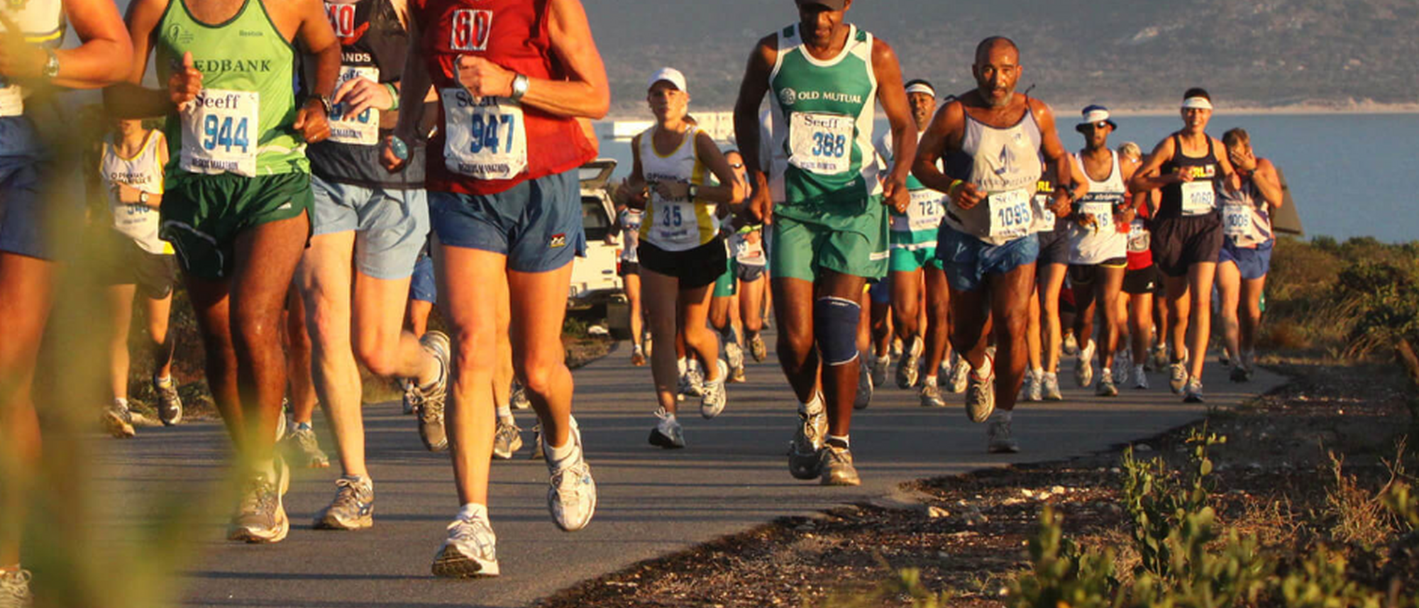 Image Title Image Title