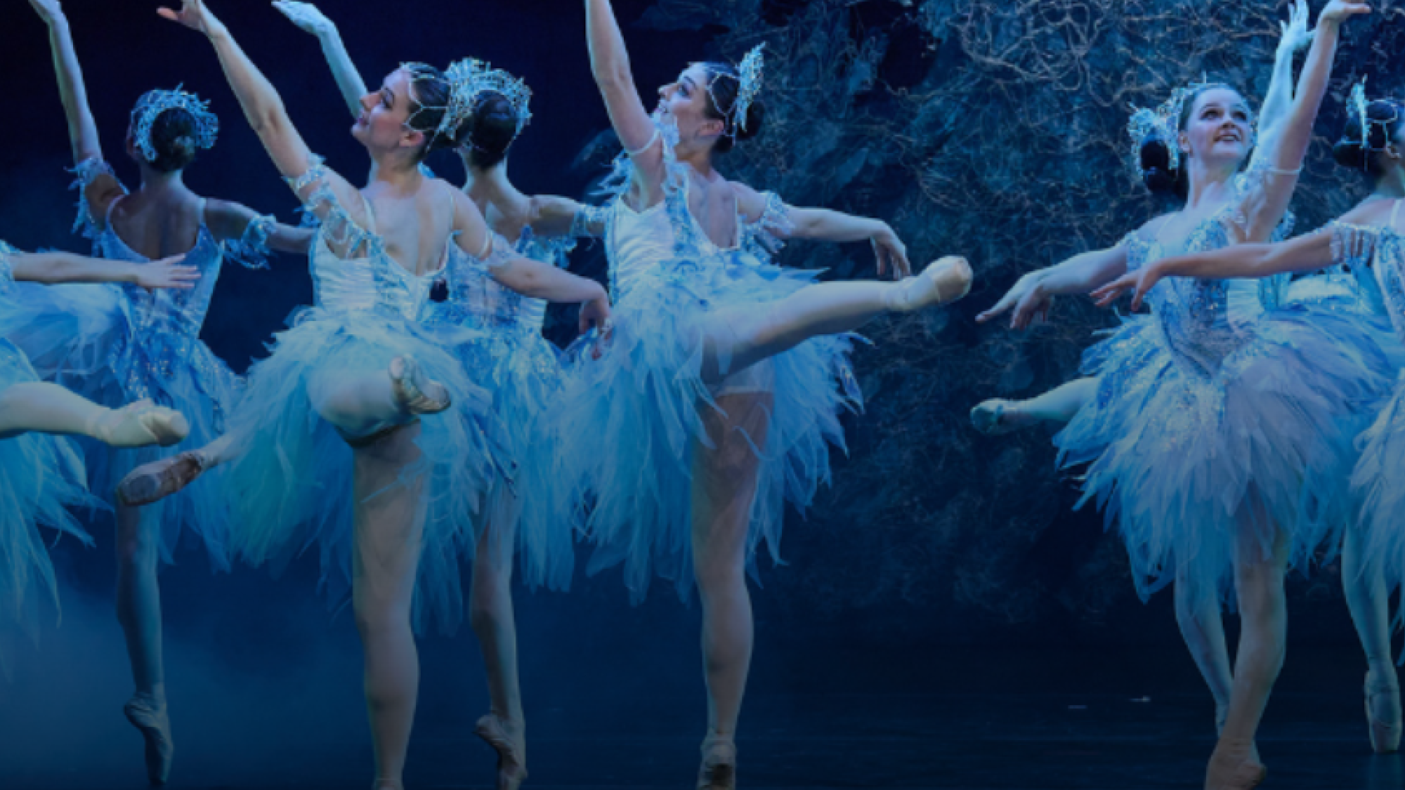 Image Title Image Title