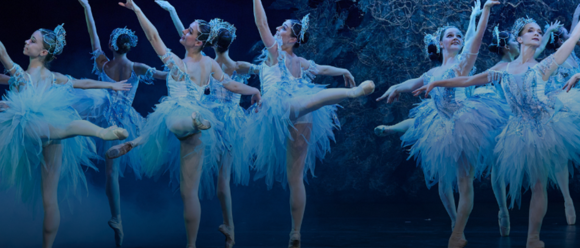 Image Title Image Title