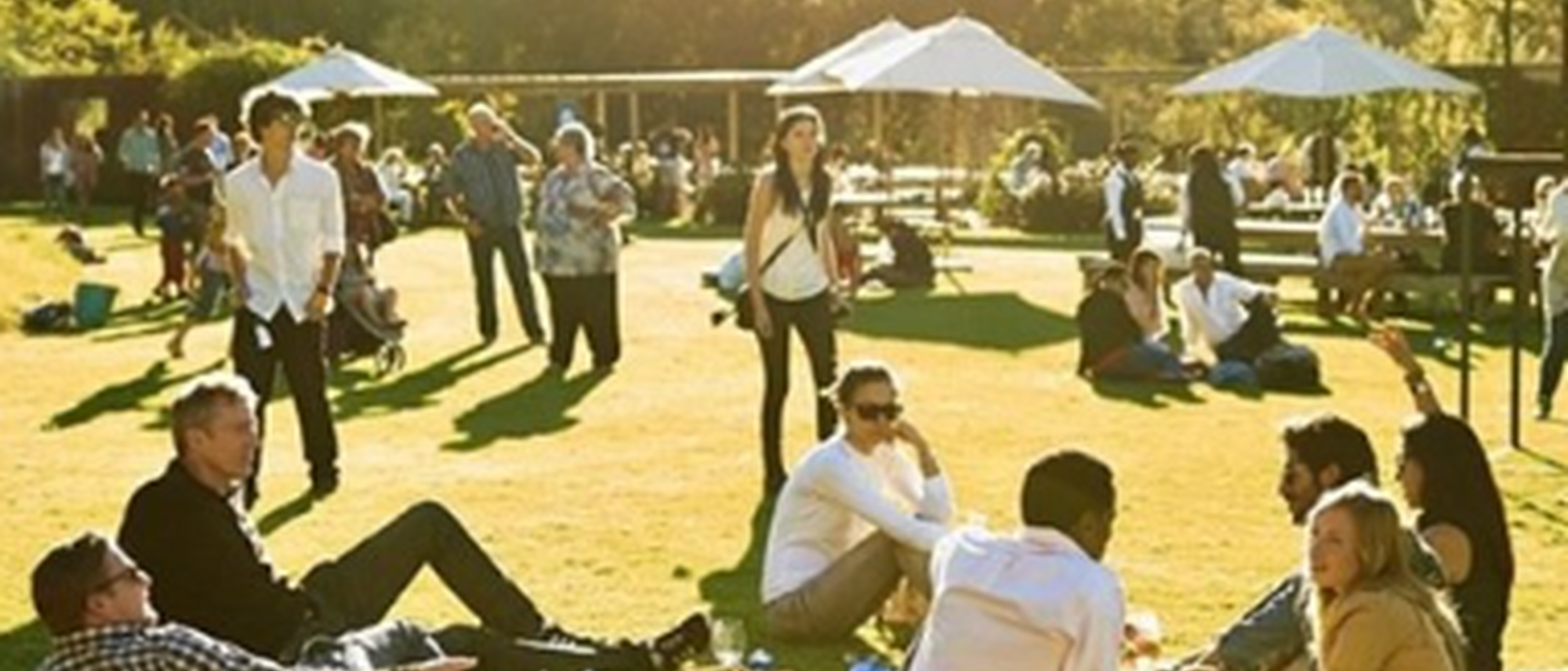 Image Title Image Title