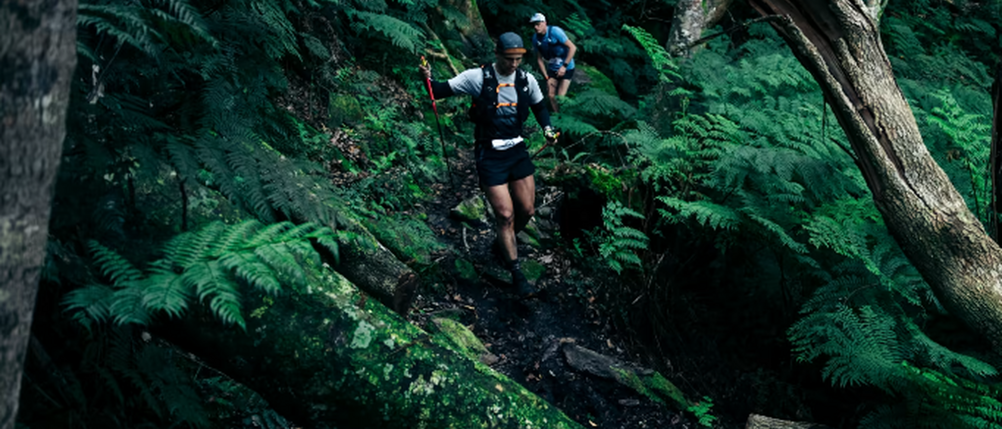 Image Title Image Title