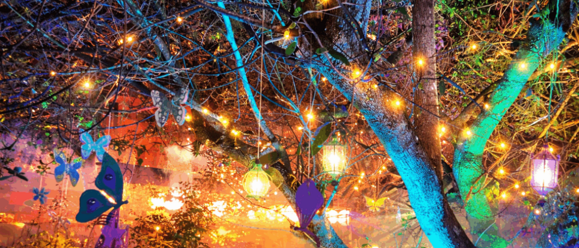 Image Title Image Title