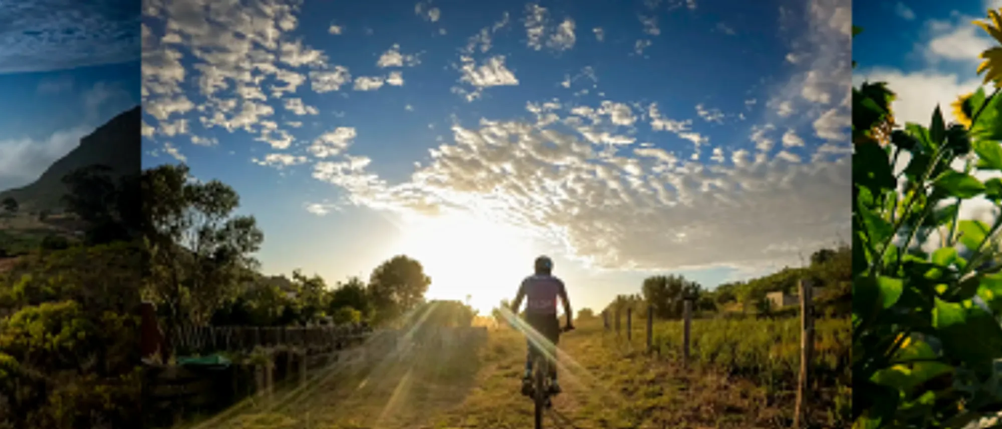 Image Title Image Title