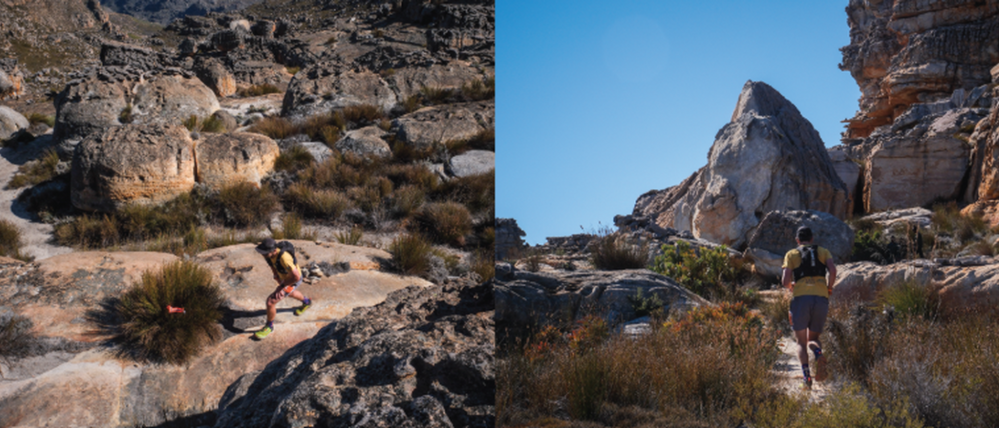 Image Title Image Title