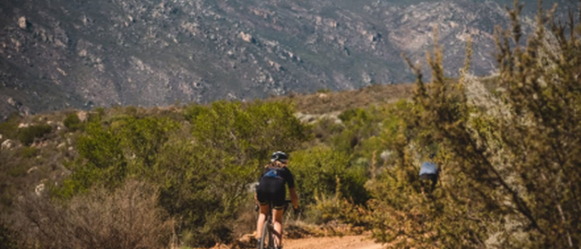 Image Title Image Title