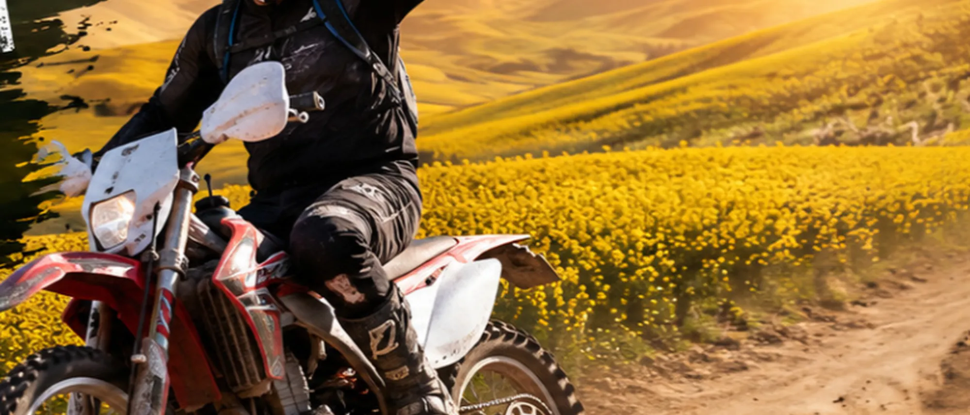 Image Title Image Title