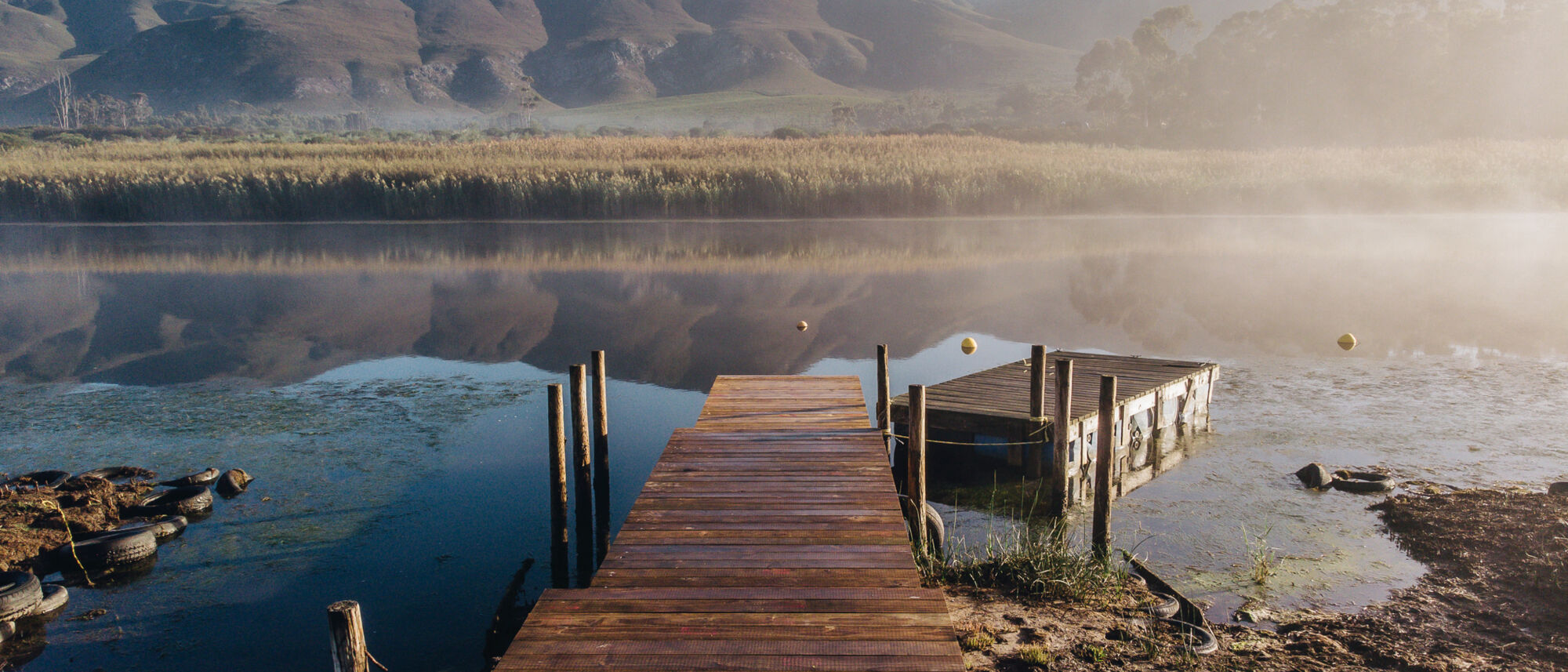 Image Title Image Title