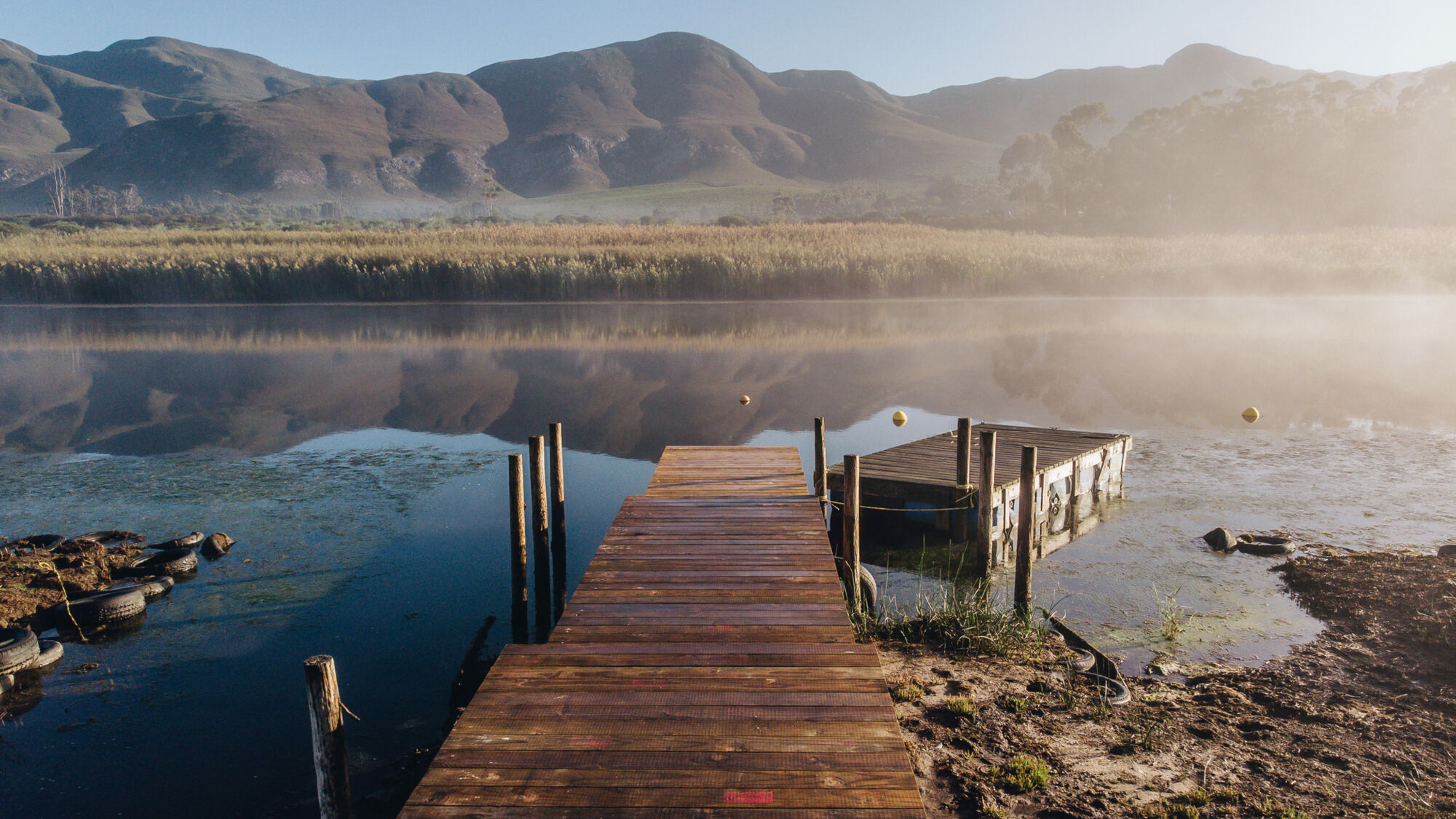 Image Title Image Title