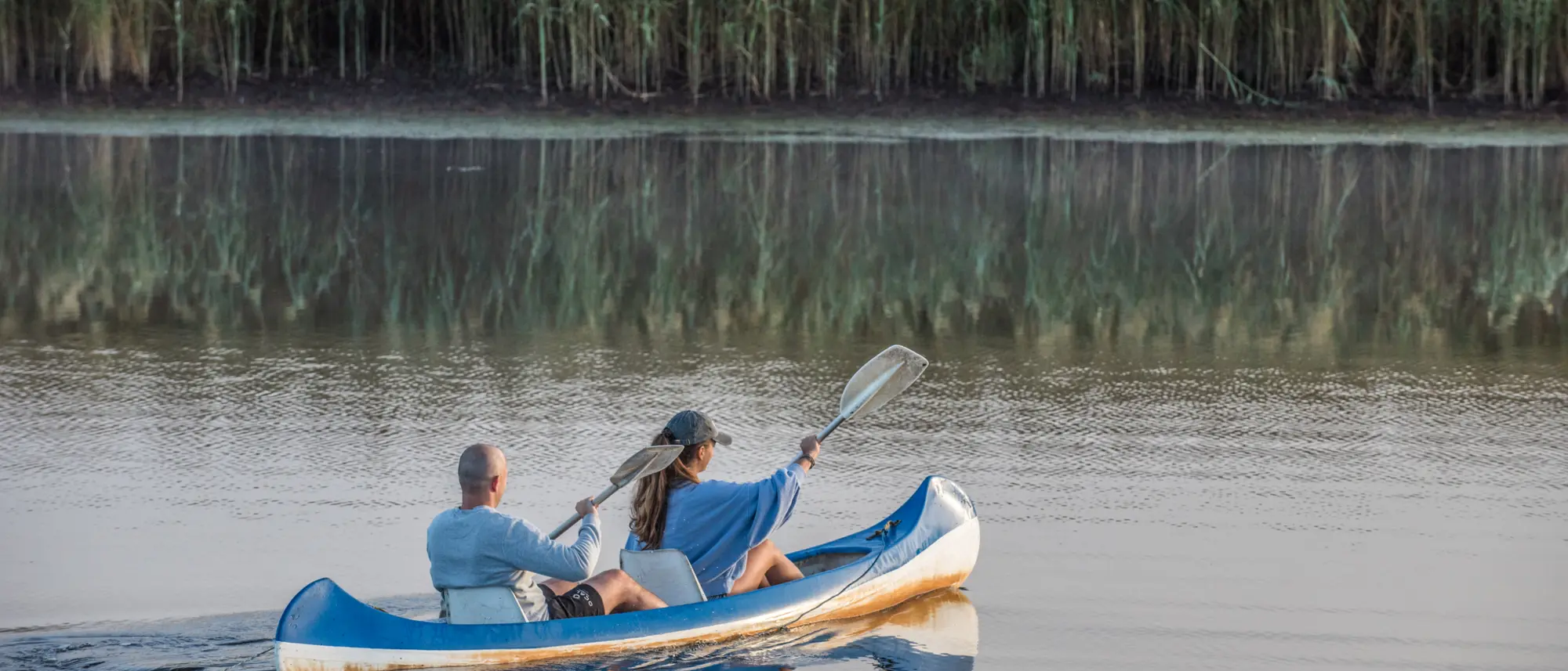 Image Title Image Title