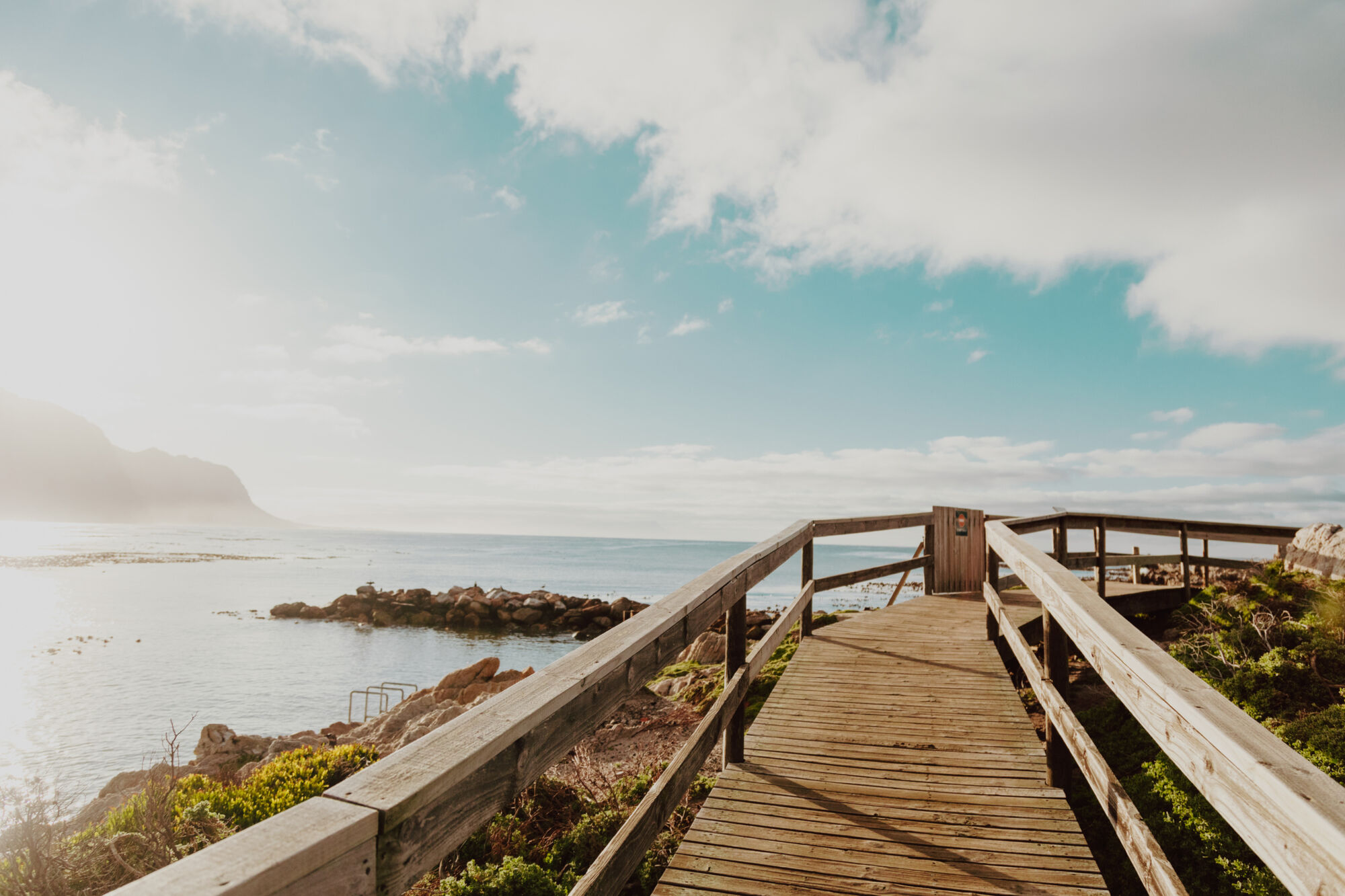 Image Title Image Title