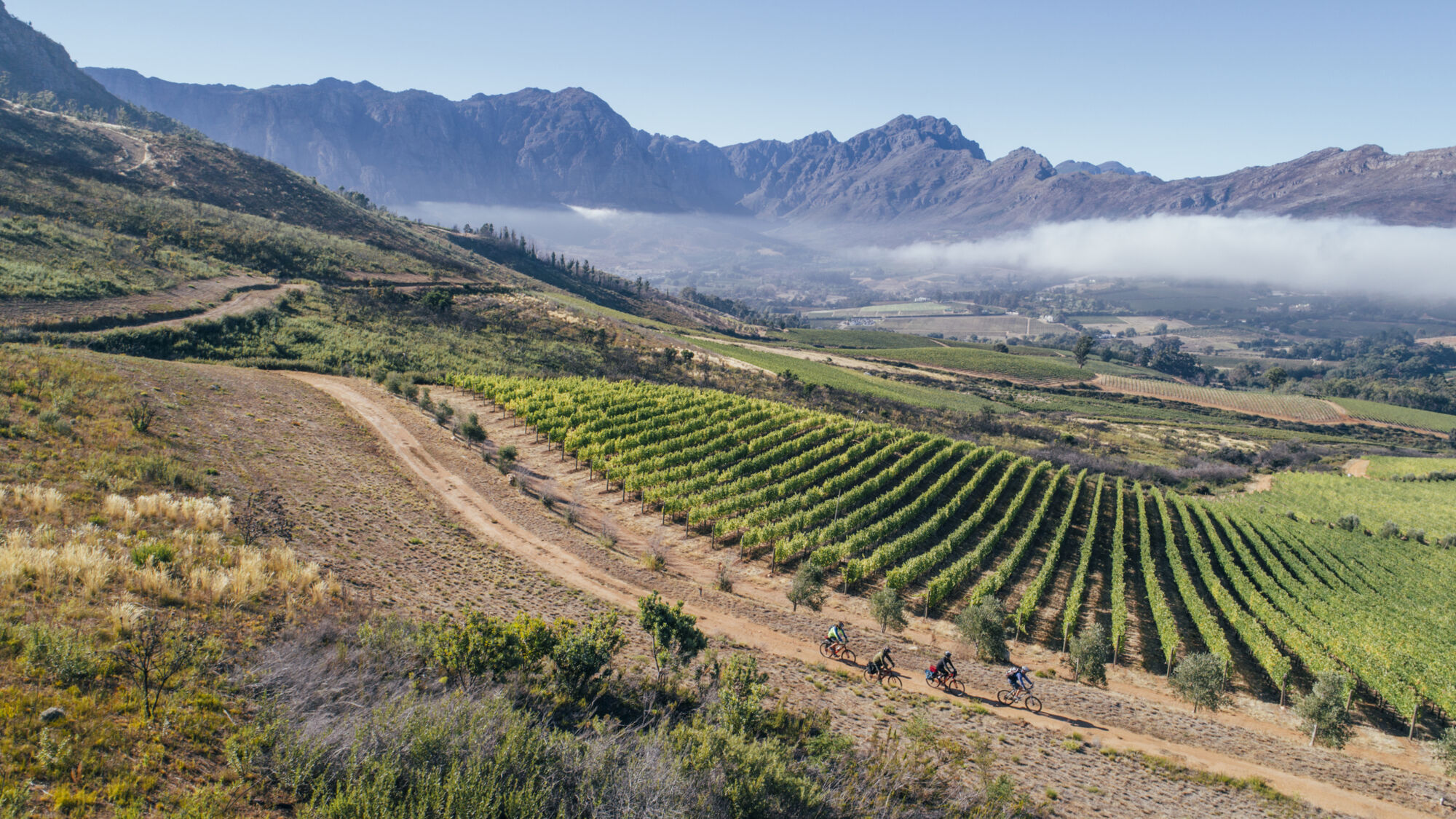 Image Title Image Title