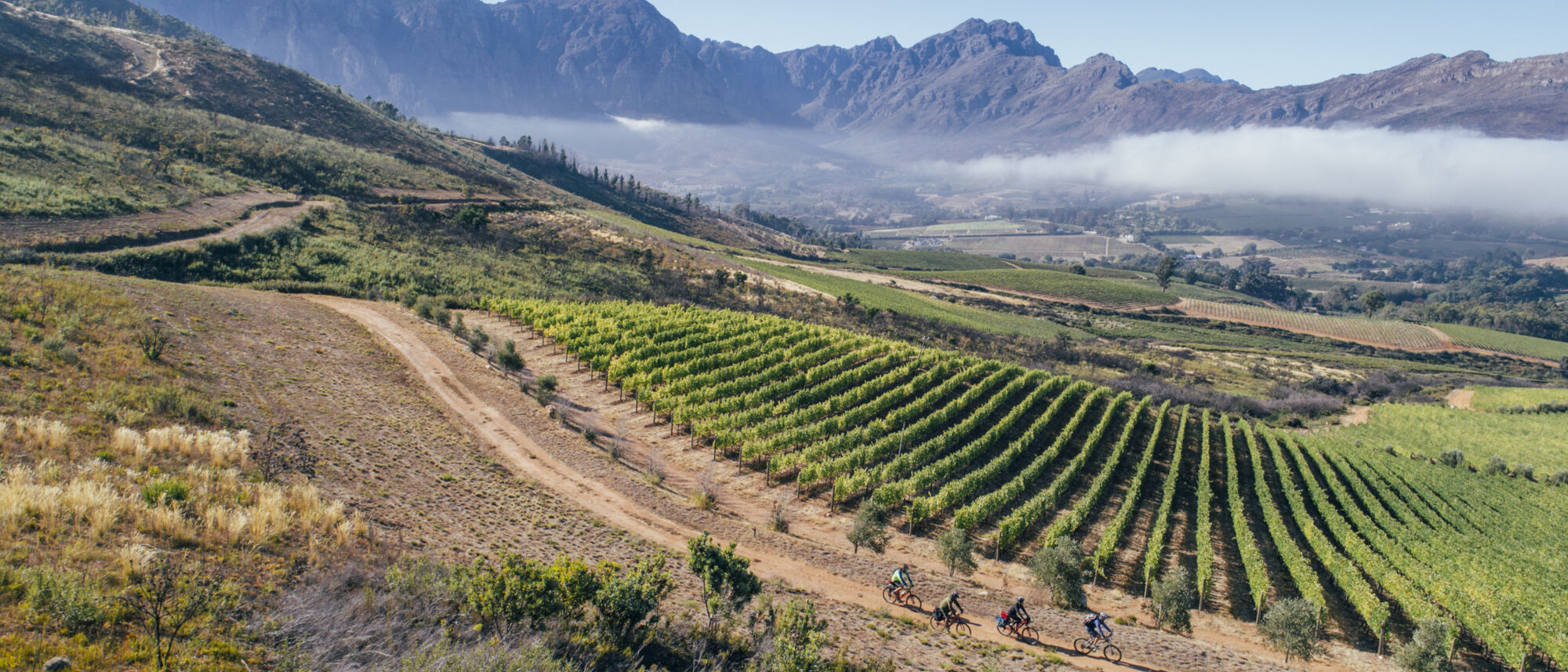 Image Title Image Title