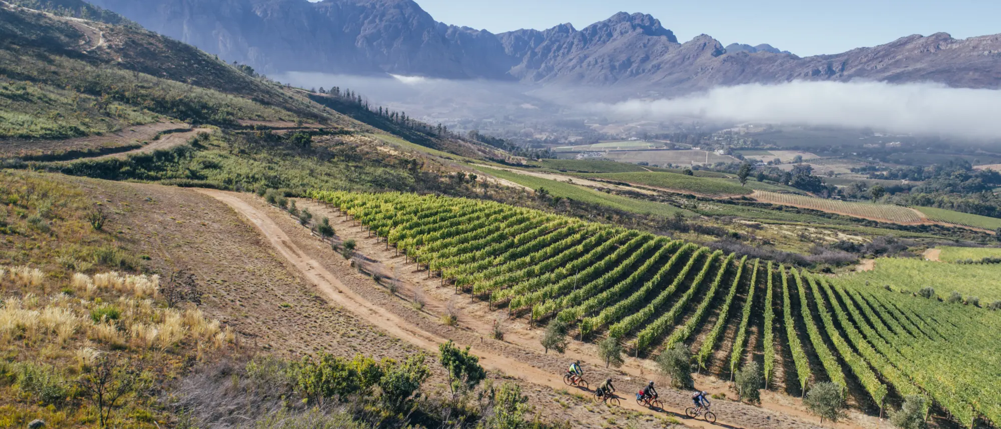 Image Title Image Title