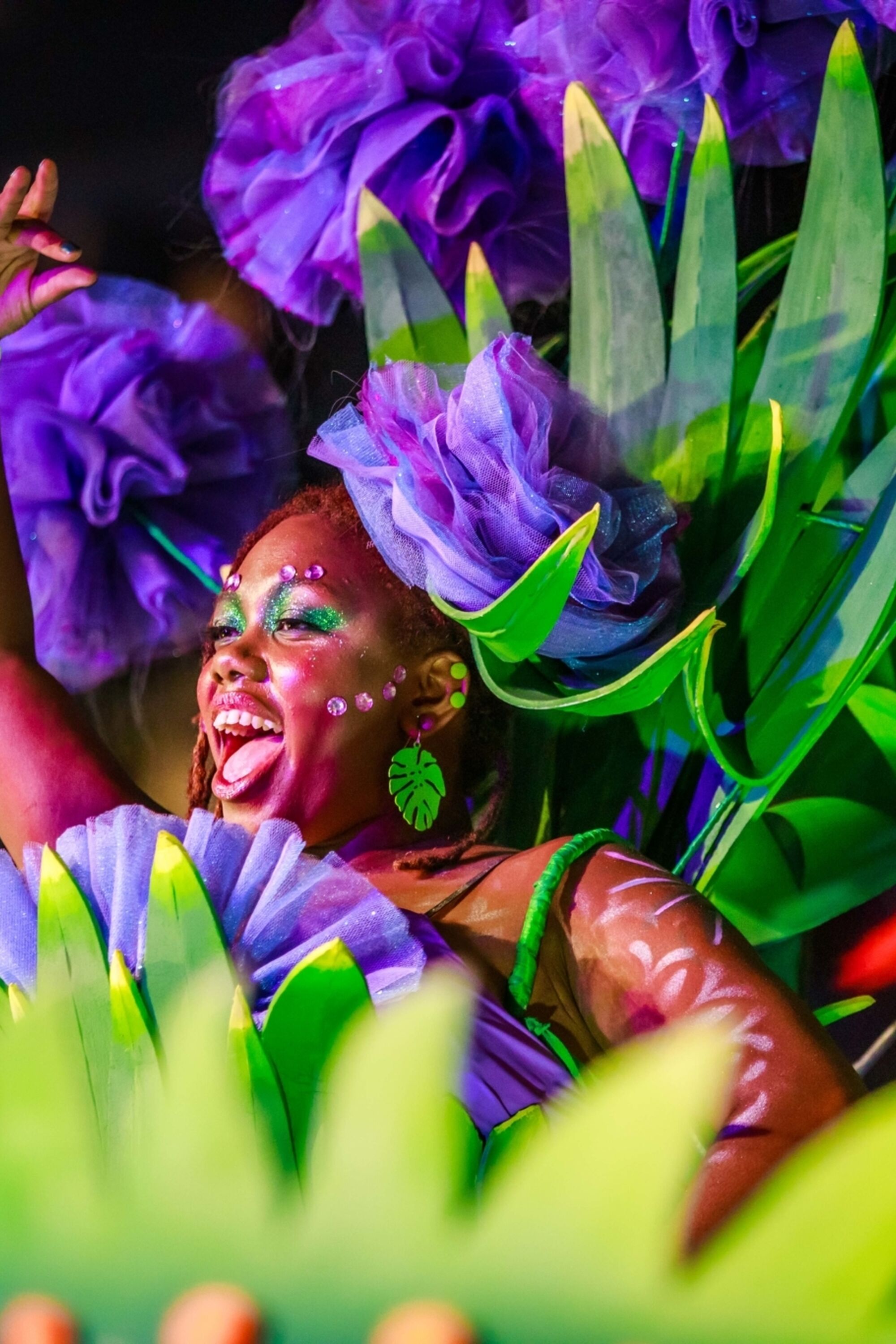 Image Title Image Title