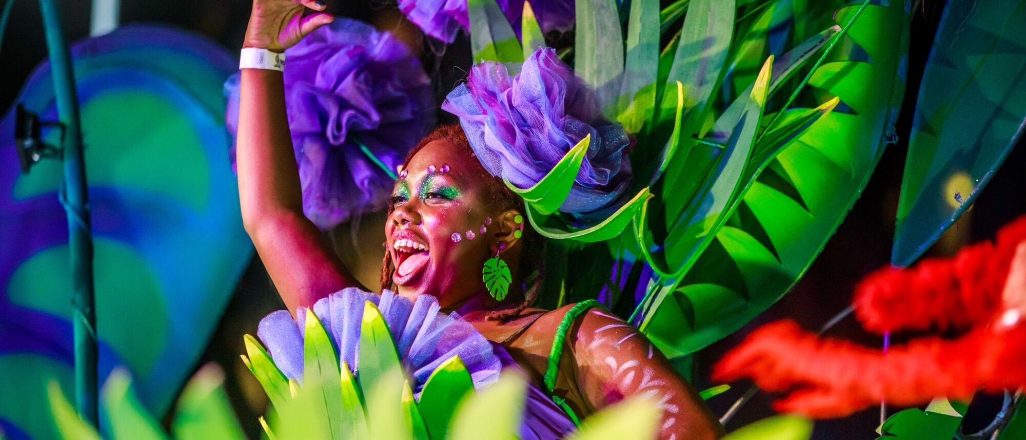 Image Title Image Title