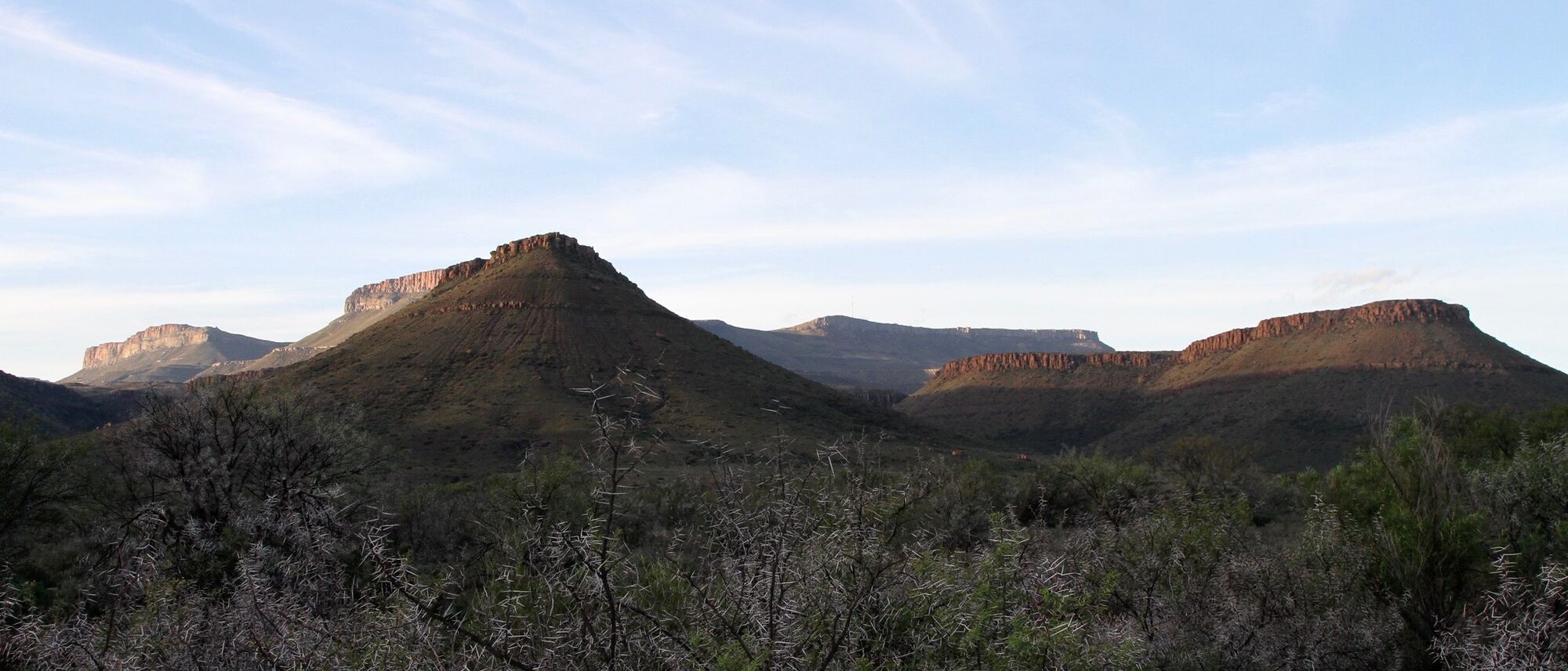 Image Title Image Title