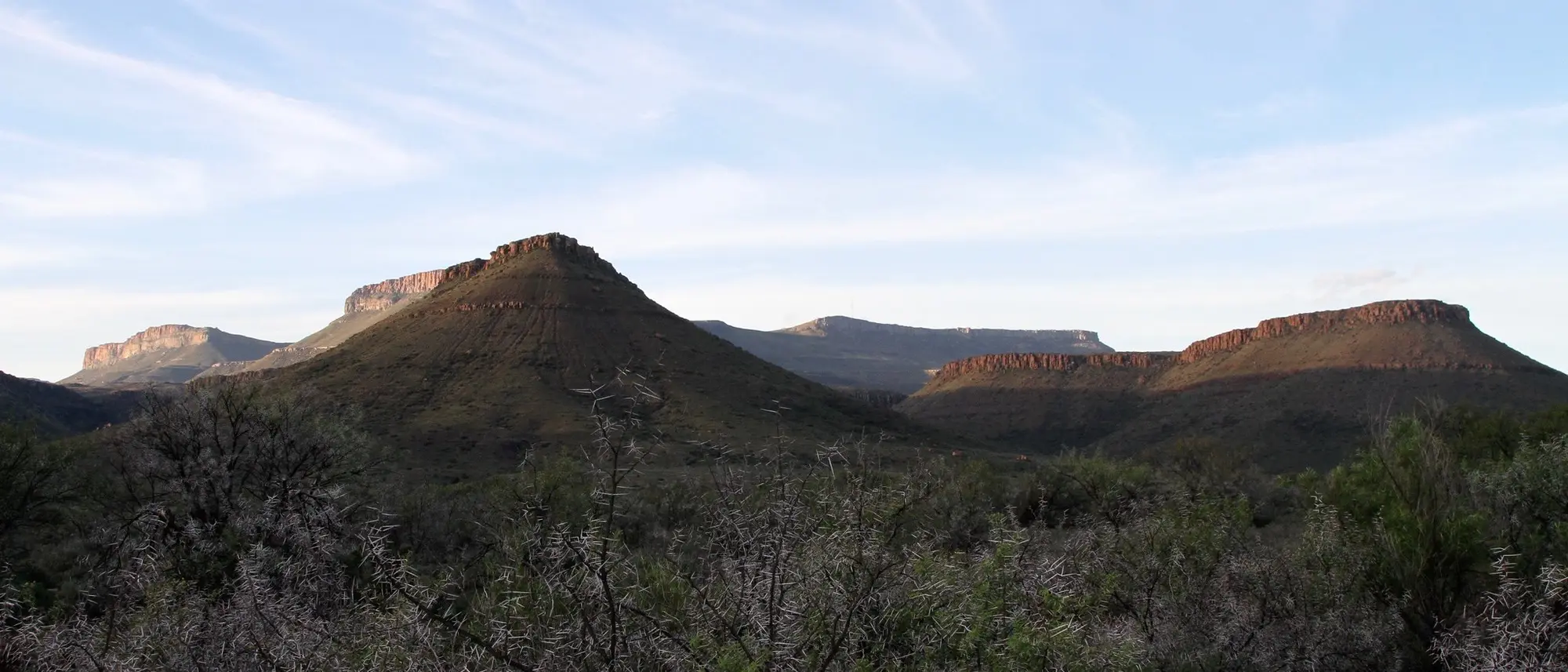 Image Title Image Title