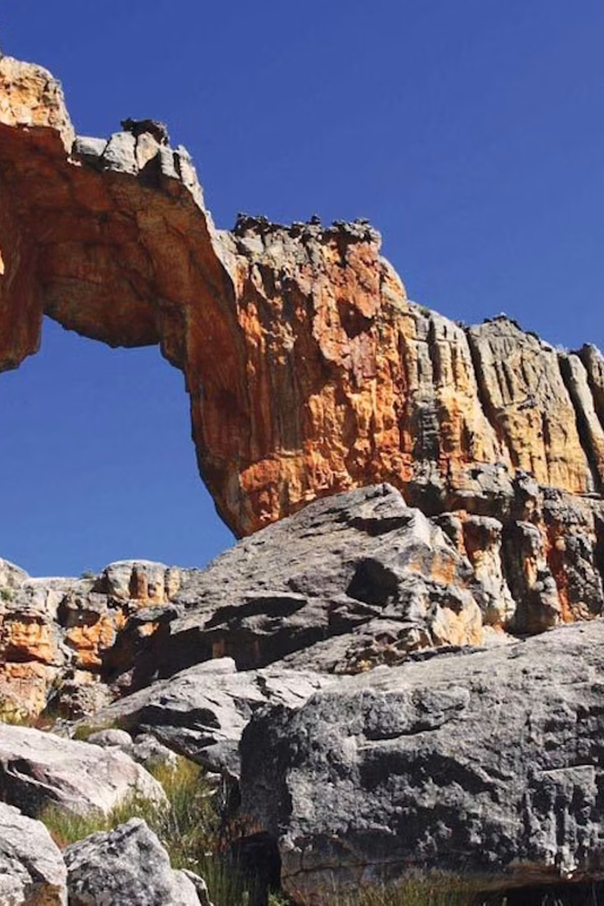 Image Title Image Title