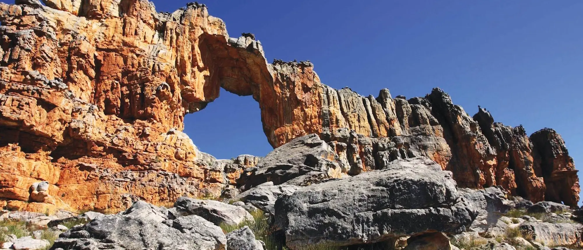 Image Title Image Title