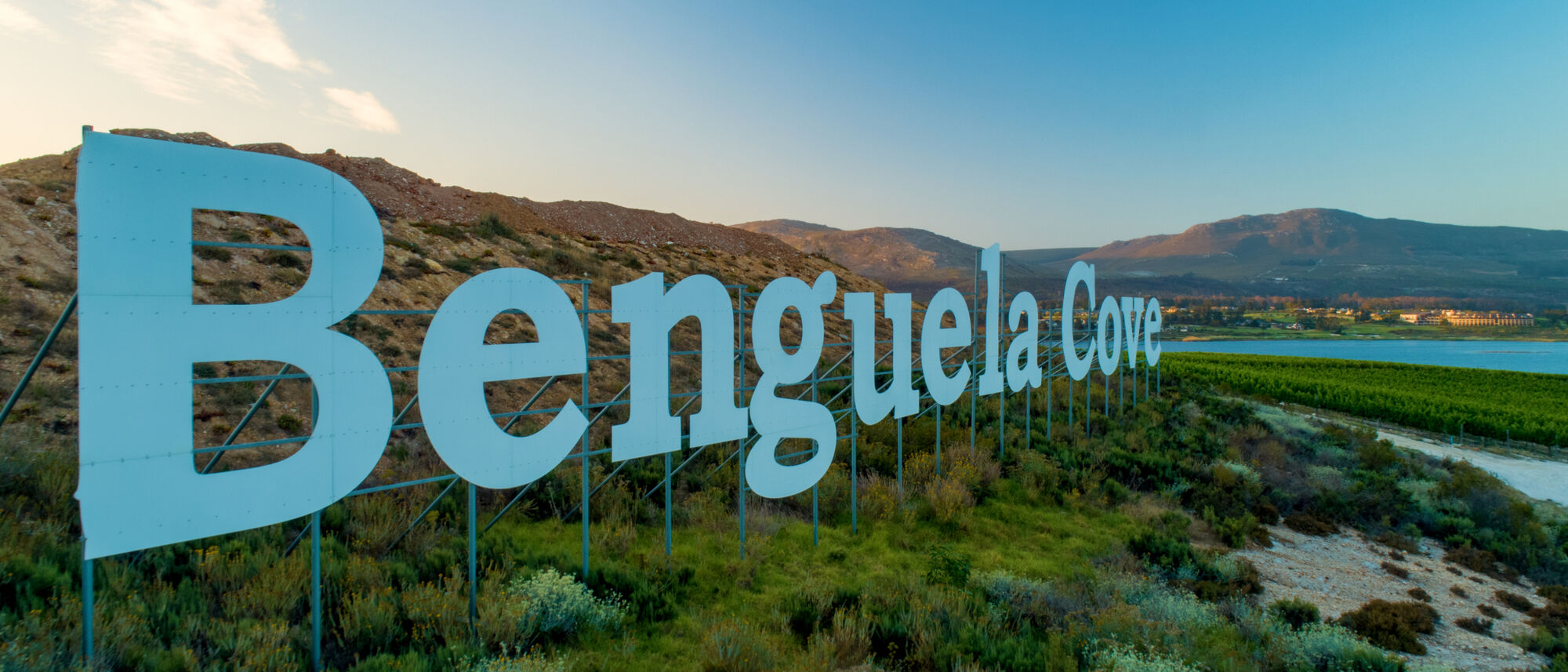 Image Title Image Title